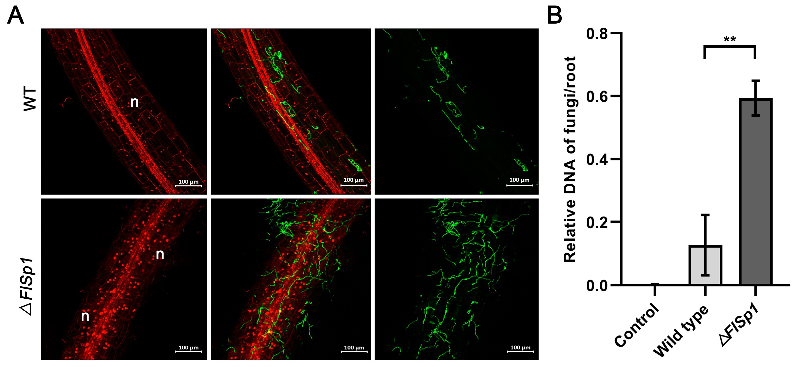 Jof 09 00519 g003 Jof 09 00519 g003