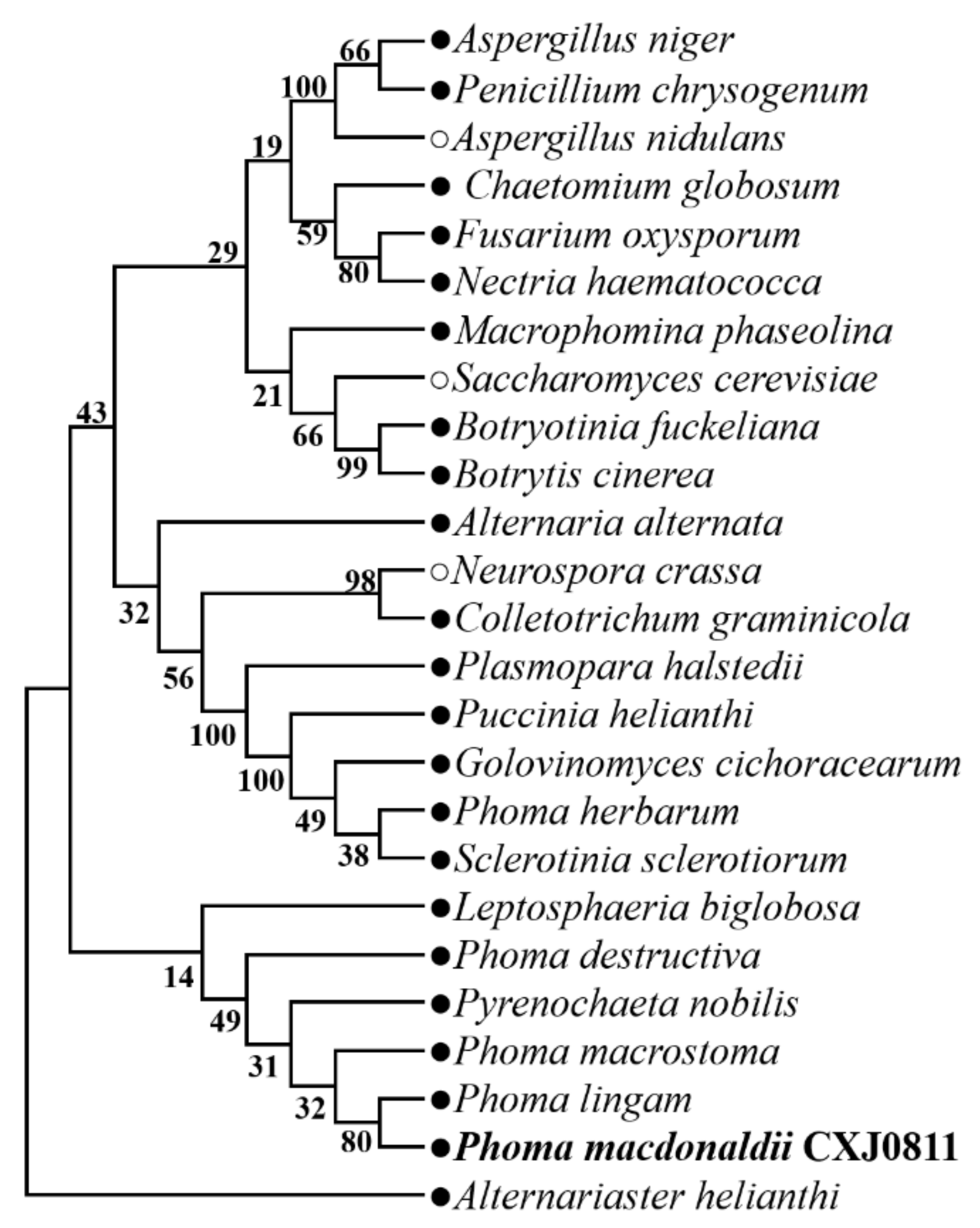 Jof 09 00520 g001 Jof 09 00520 g001