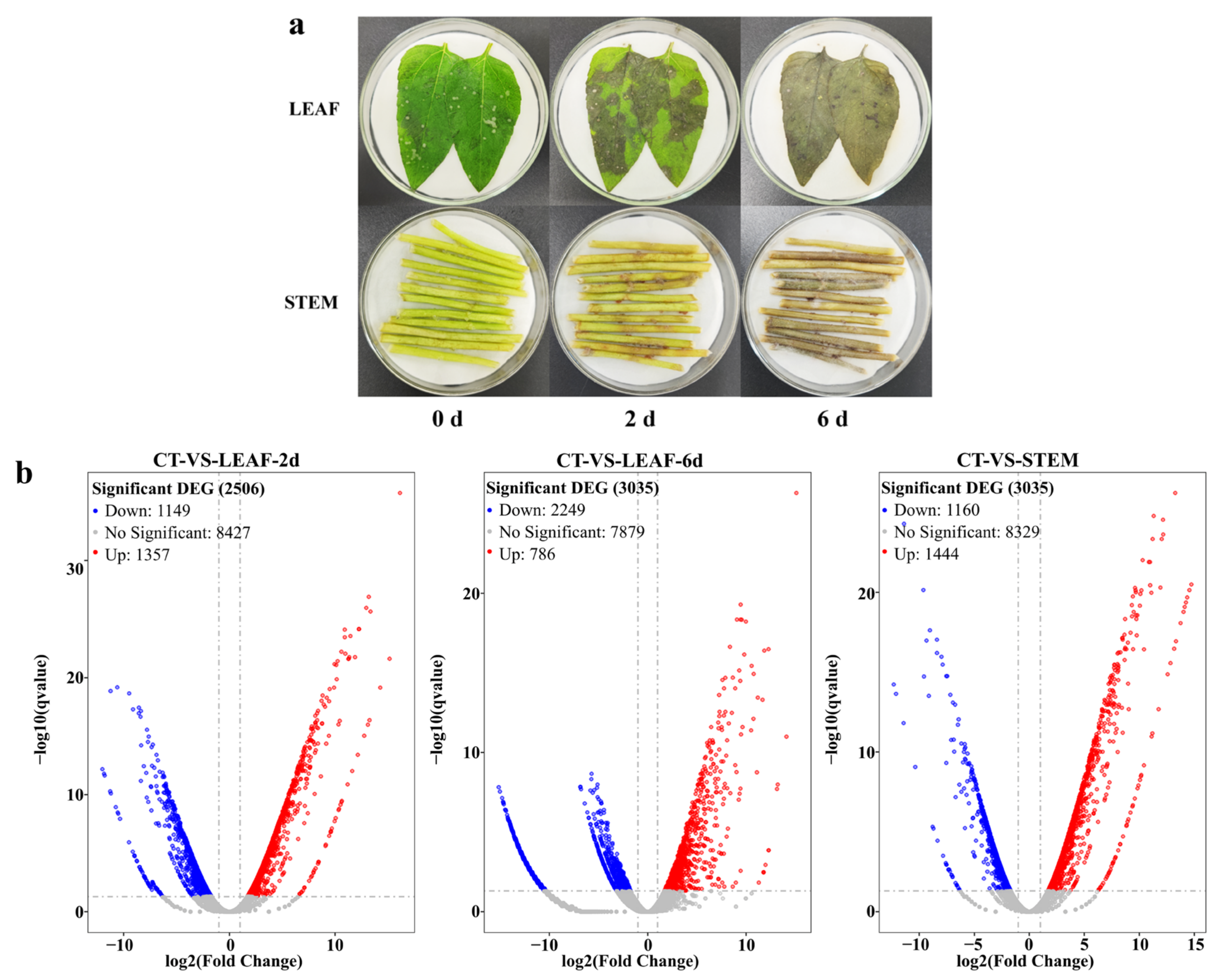 Jof 09 00520 g007 Jof 09 00520 g007