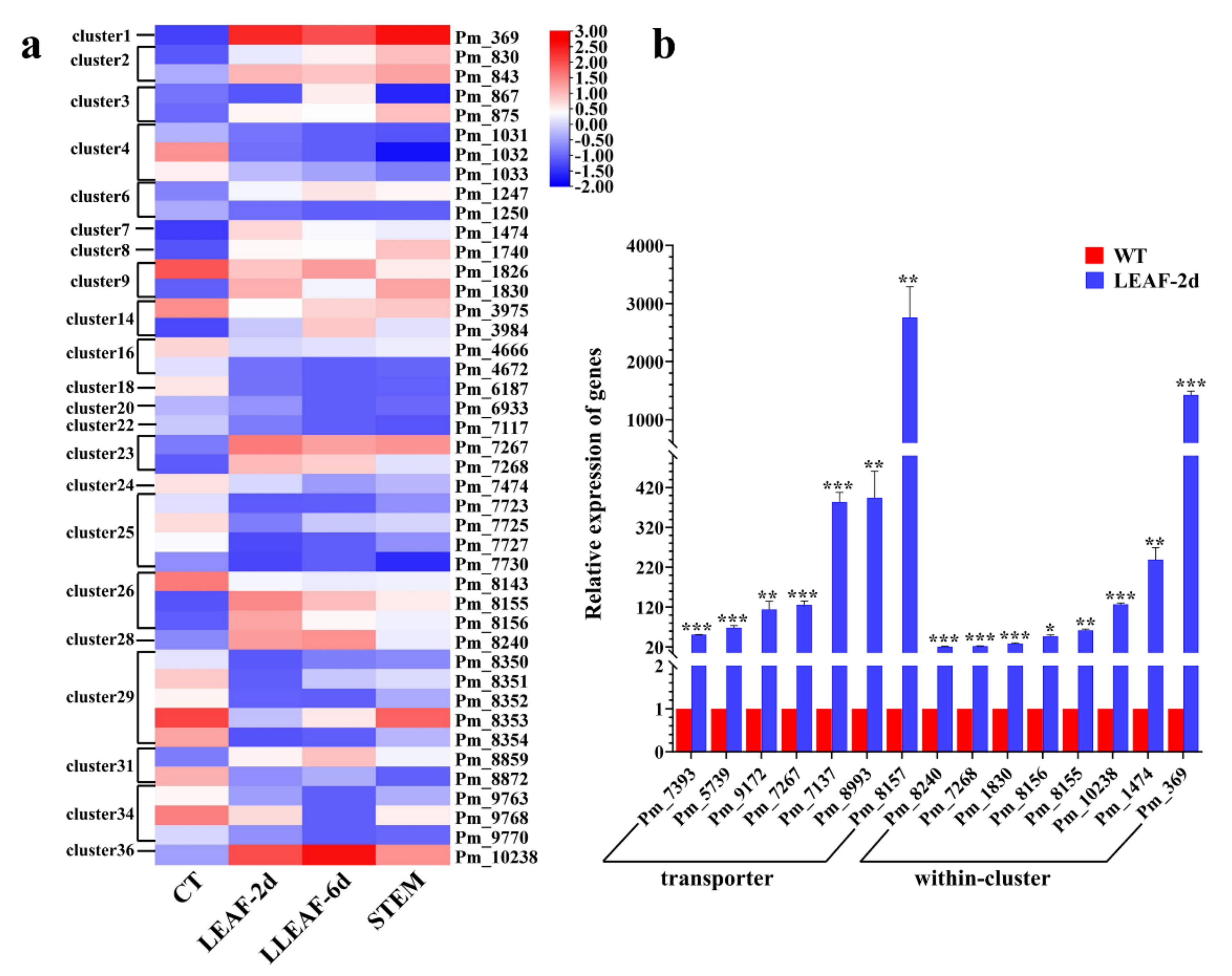 Jof 09 00520 g010 Jof 09 00520 g010