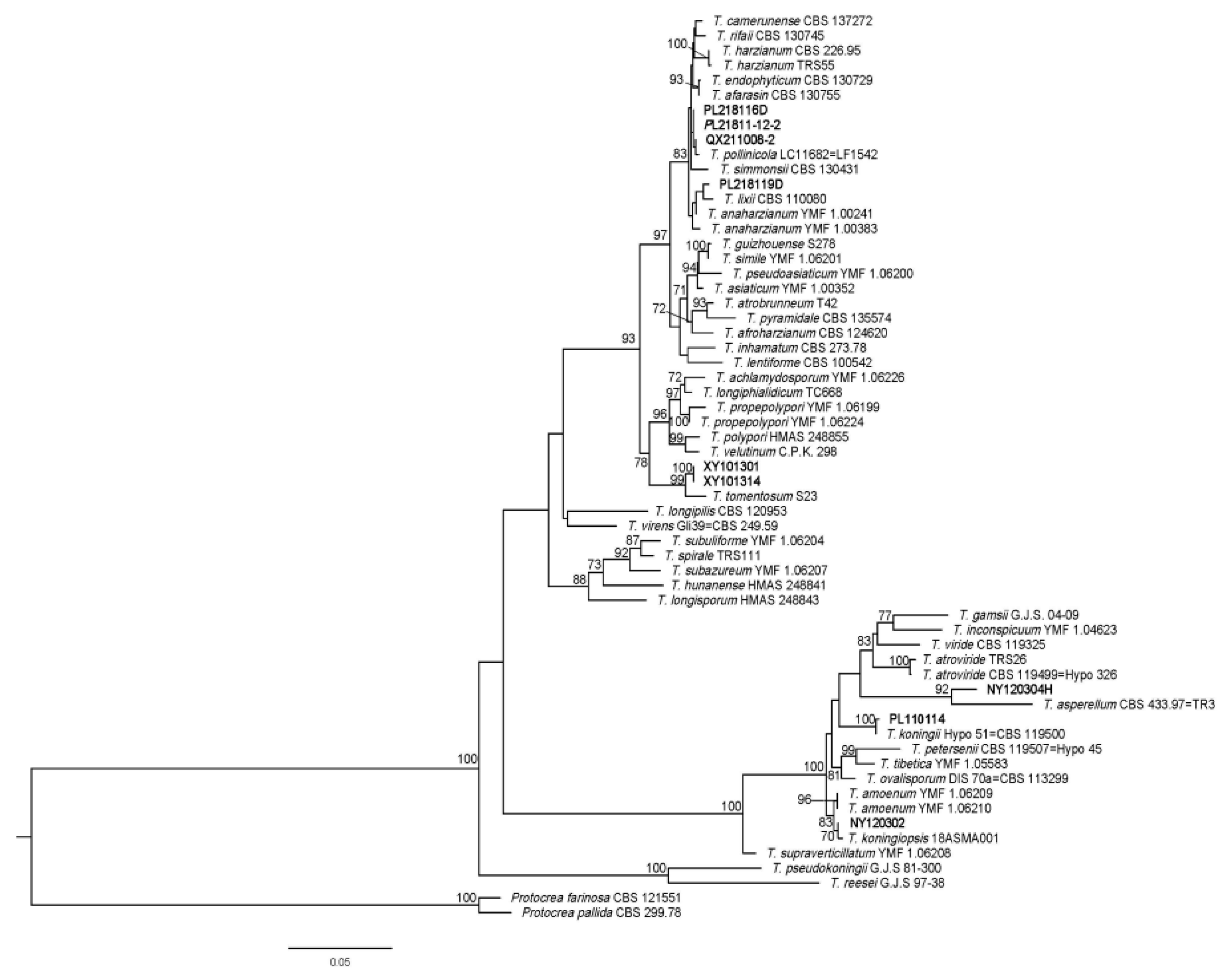 Jof 09 00525 g003 Jof 09 00525 g003