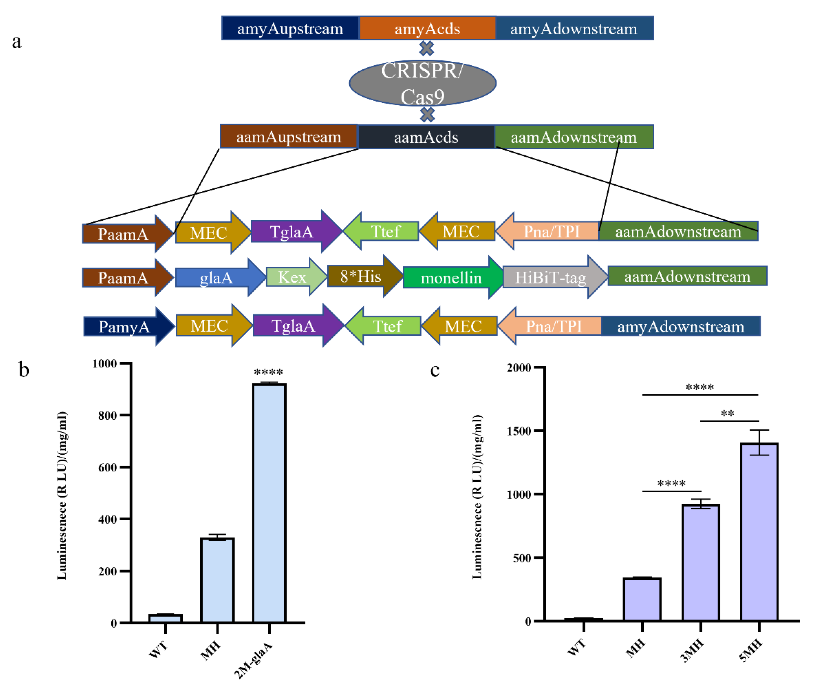 Jof 09 00528 g002 Jof 09 00528 g002