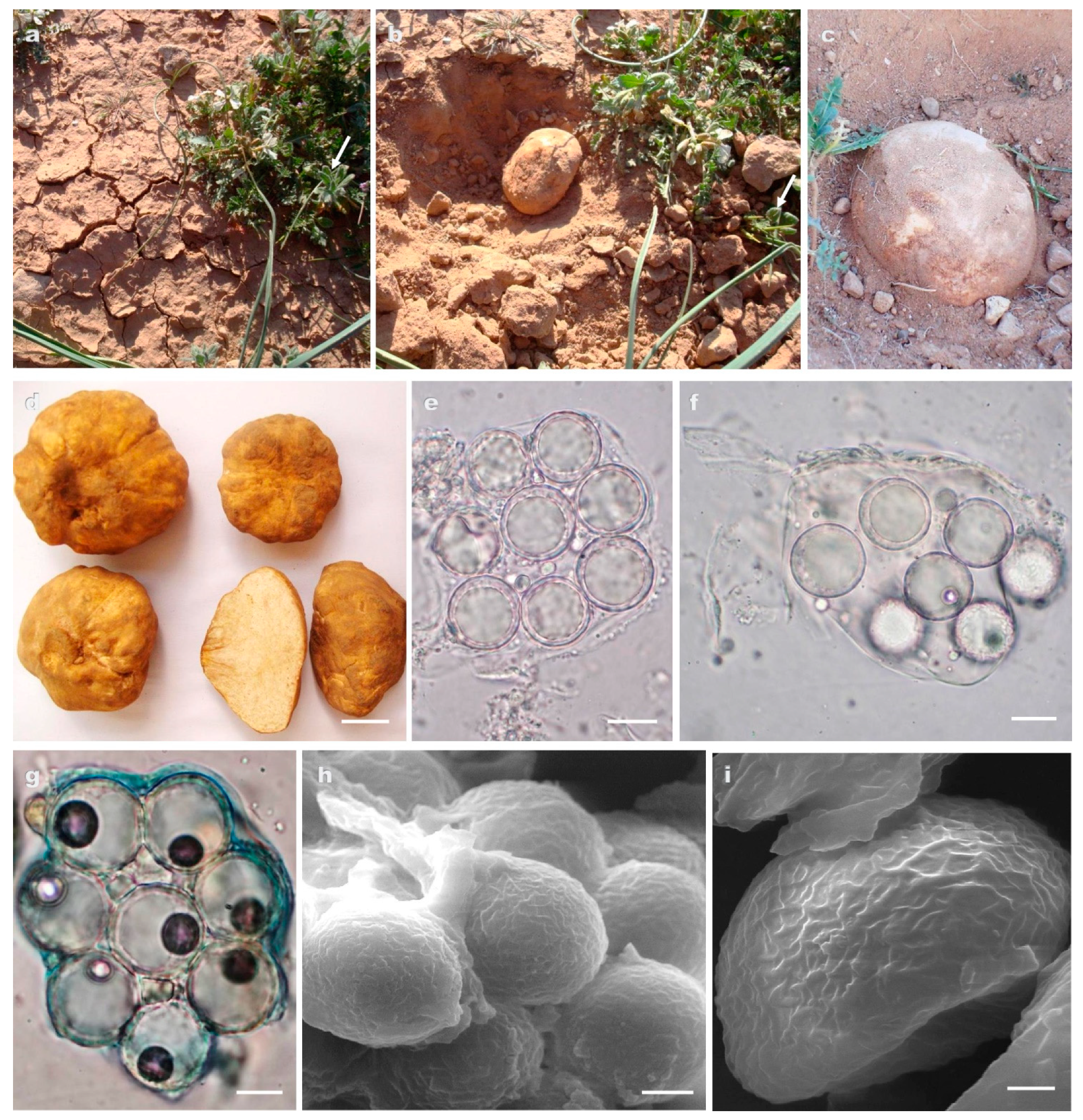 Jof 09 00532 g004 550