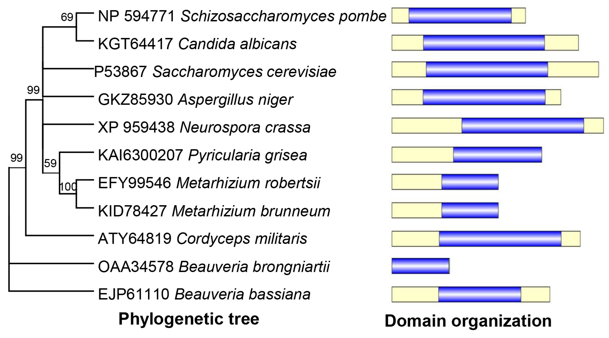 Jof 09 00543 g001 Jof 09 00543 g001