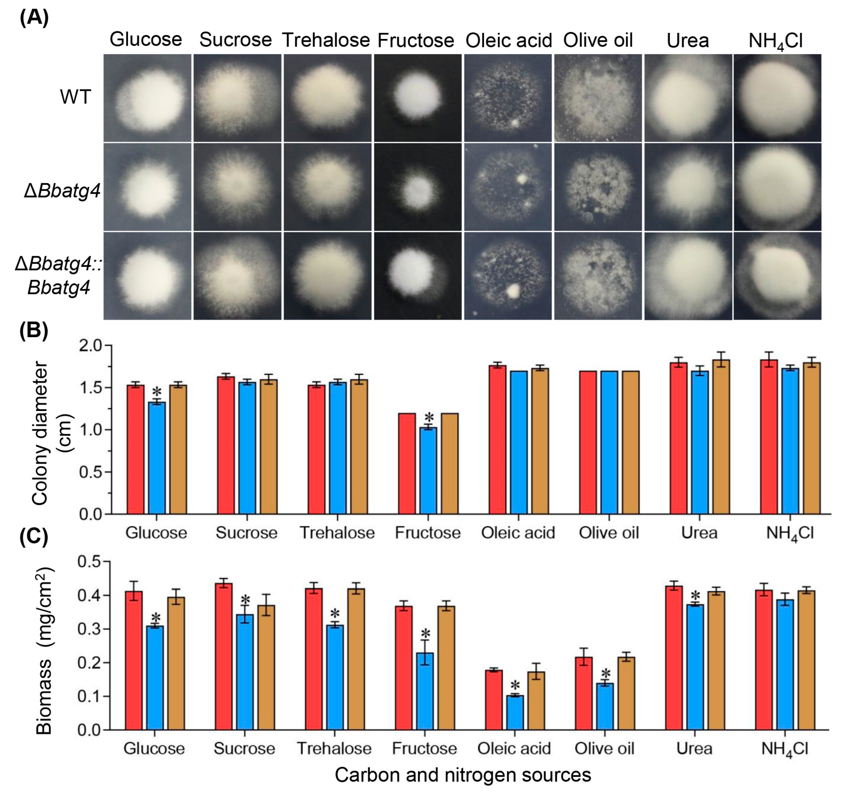 Jof 09 00543 g002 Jof 09 00543 g002