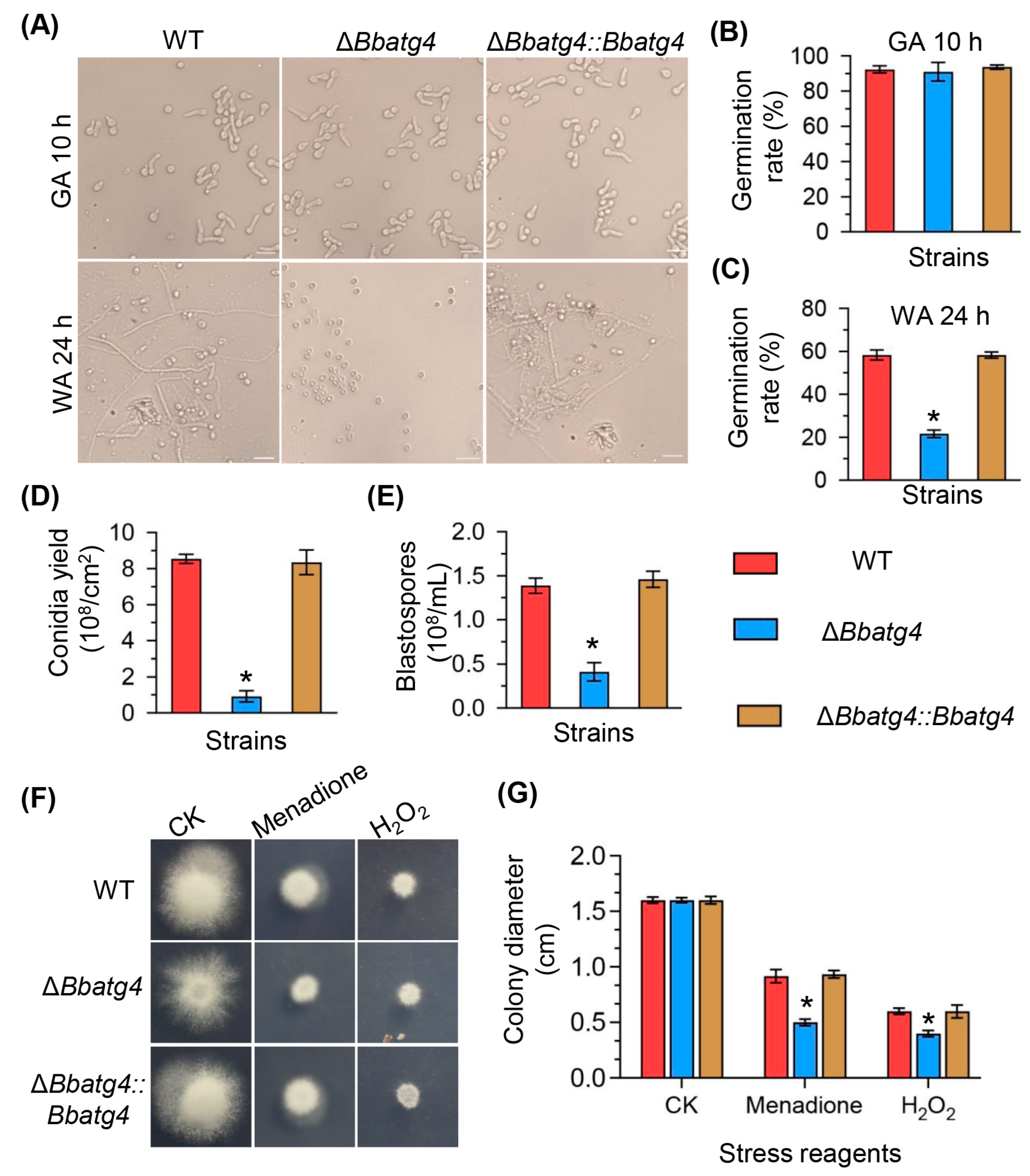 Jof 09 00543 g003 Jof 09 00543 g003