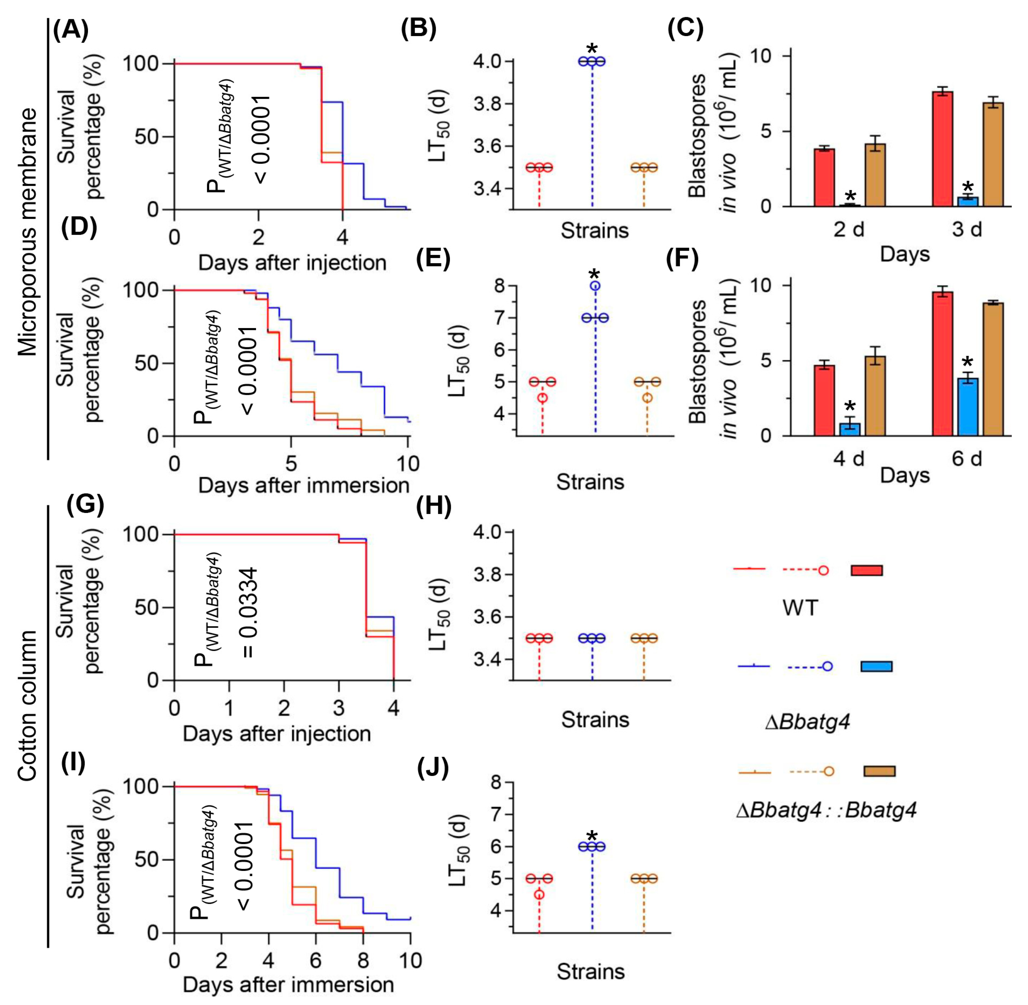 Jof 09 00543 g004 Jof 09 00543 g004