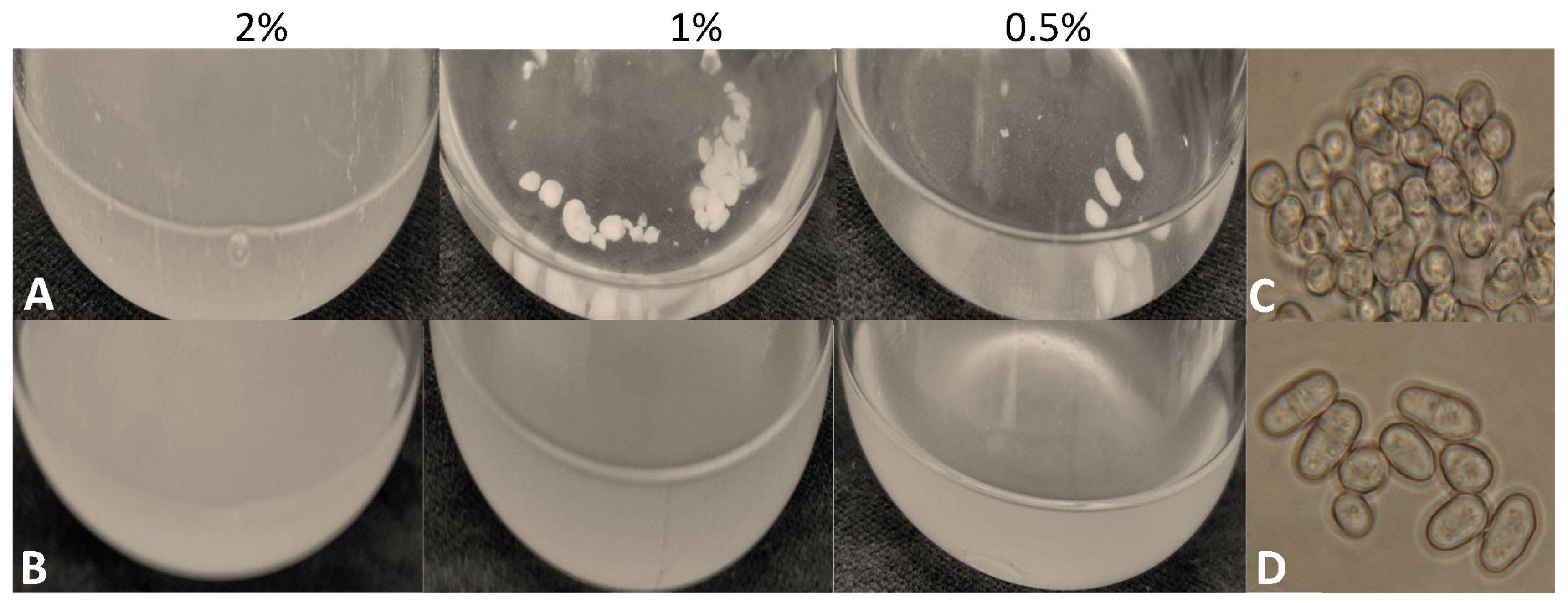 JoF Free Full-Text Disruption of the Schizosaccharomyces japonicusandnbsp;lig4 Disturbs Several Cellular Processes and Leads to a Pleiotropic Phenotype Lesbian 3441x1323 pic JoF Free Full-Text Disruption of the Schizosaccharomyces japonicusandnbsp;lig4 Disturbs Several Cellular Processes and Leads to a Pleiotropic Phenotype picture