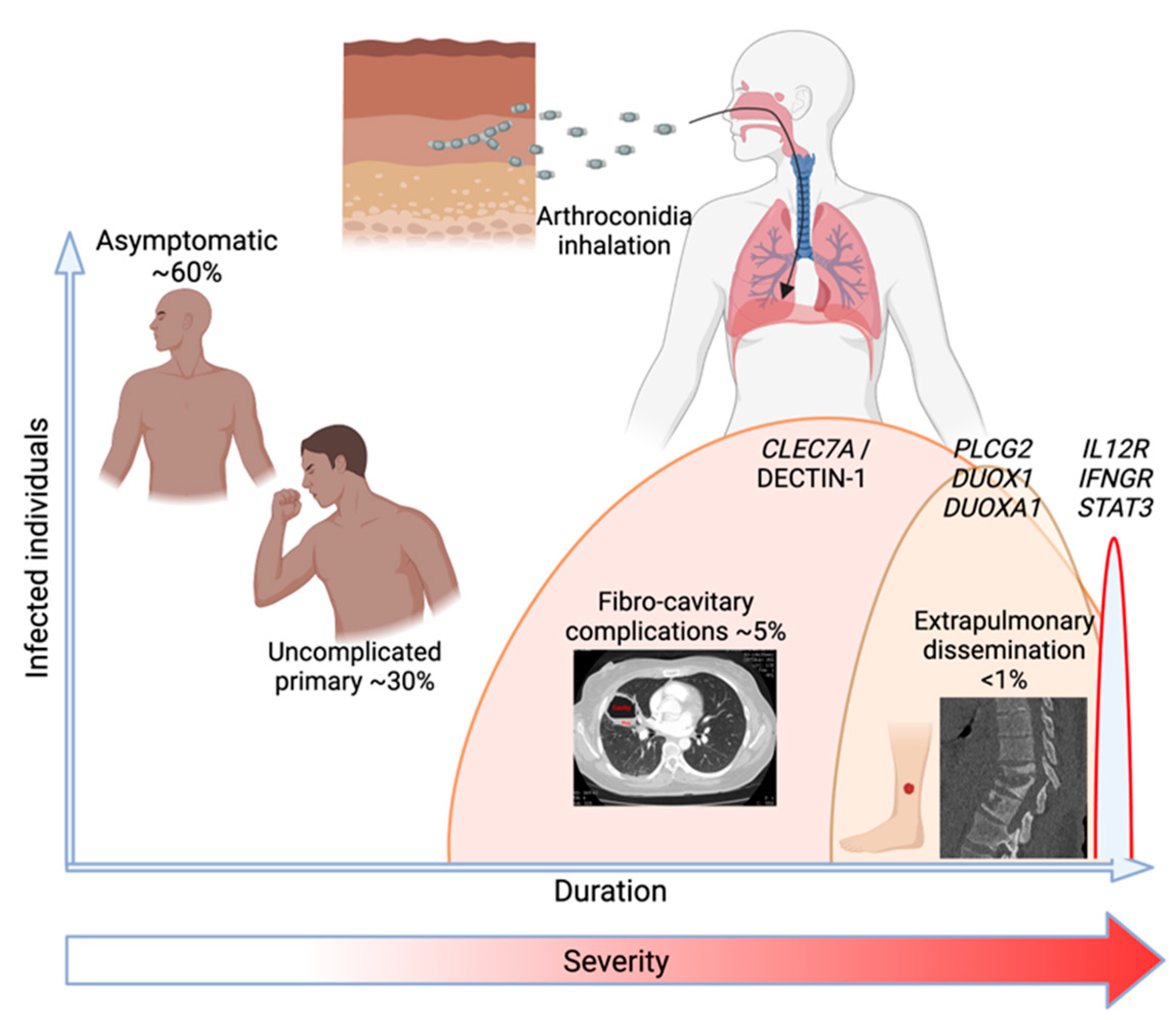 Jof 09 00554 g003 Jof 09 00554 g003