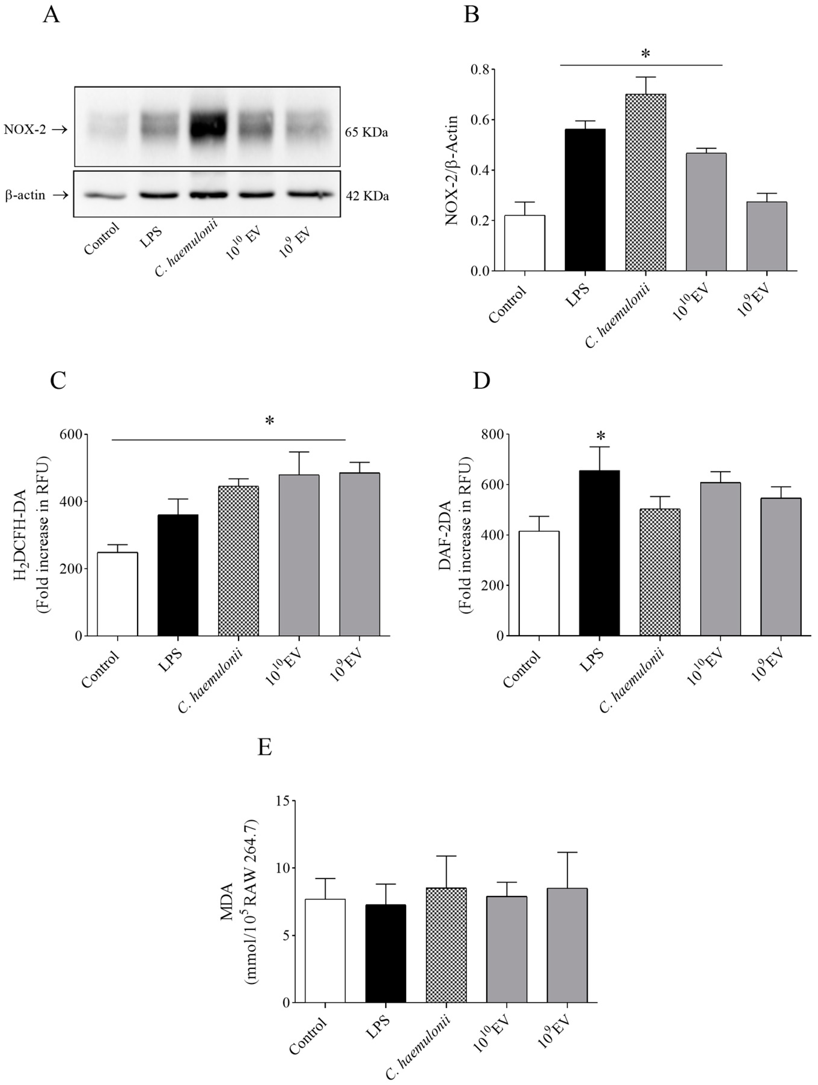 Jof 09 00562 g004 Jof 09 00562 g004