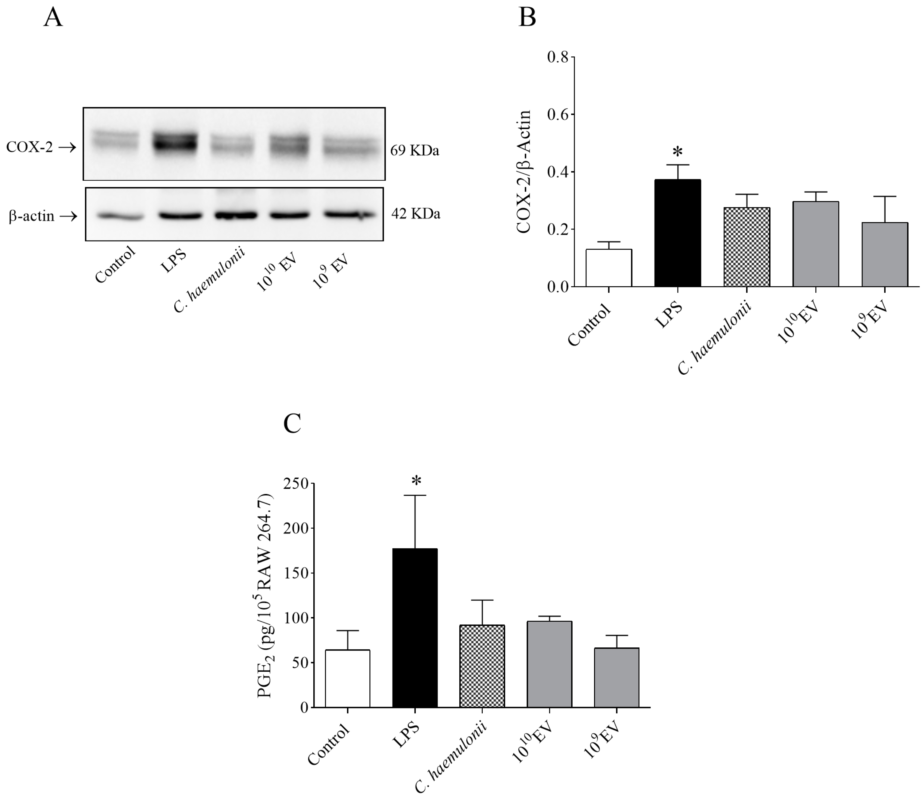 Jof 09 00562 g005 Jof 09 00562 g005
