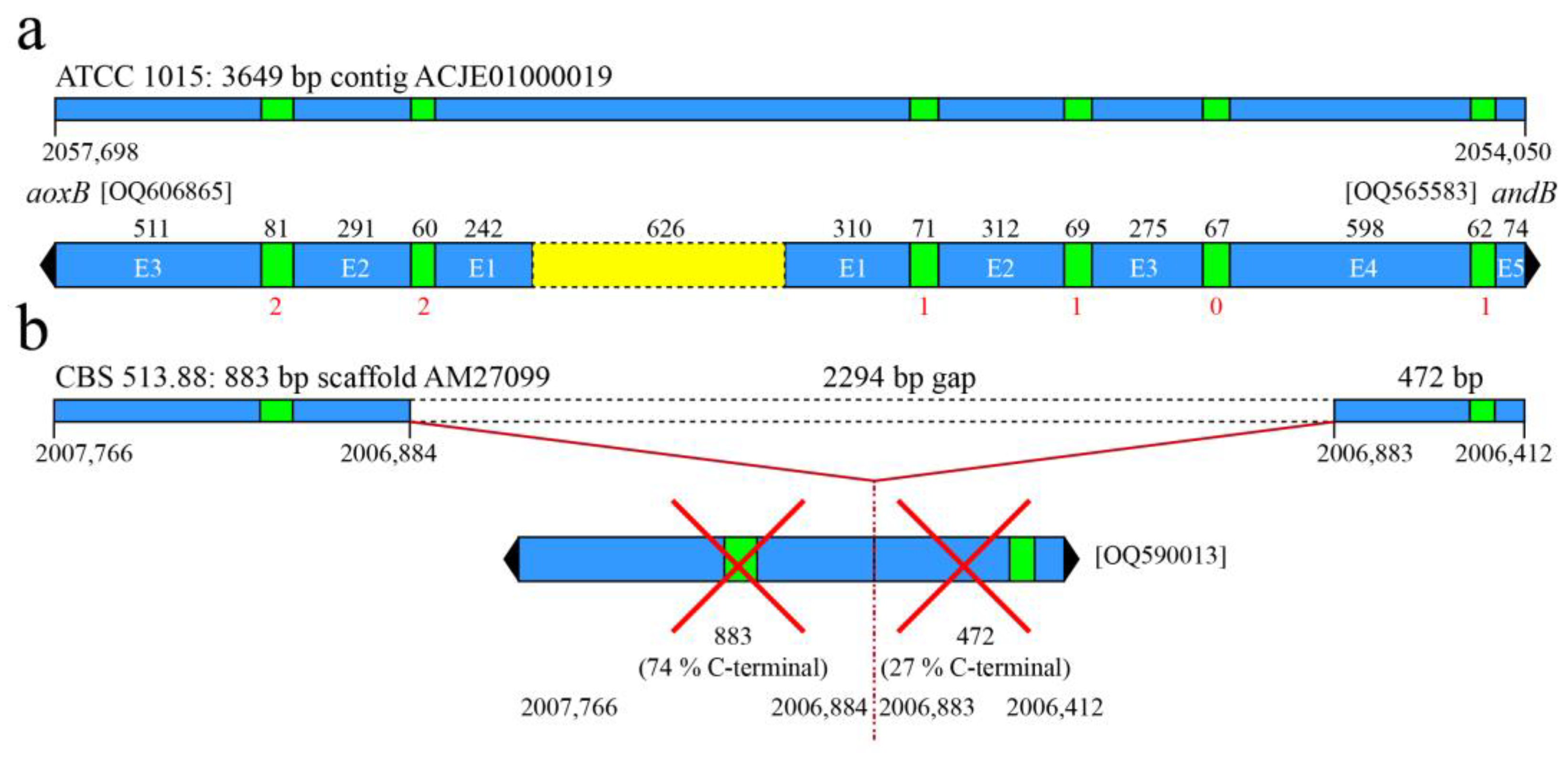 Jof 09 00570 g001 Jof 09 00570 g001