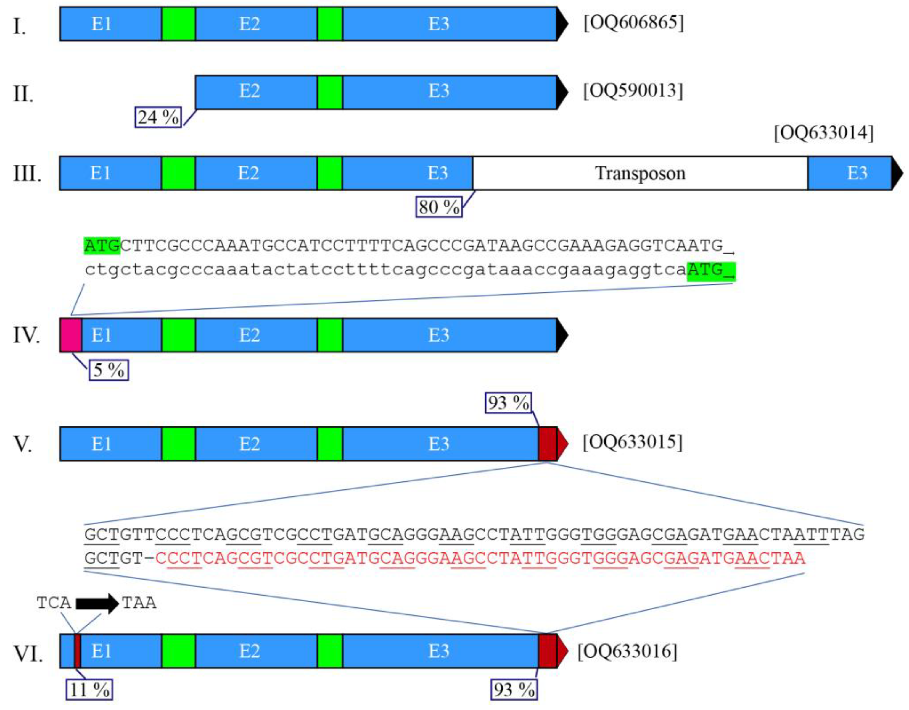 Jof 09 00570 g003 Jof 09 00570 g003