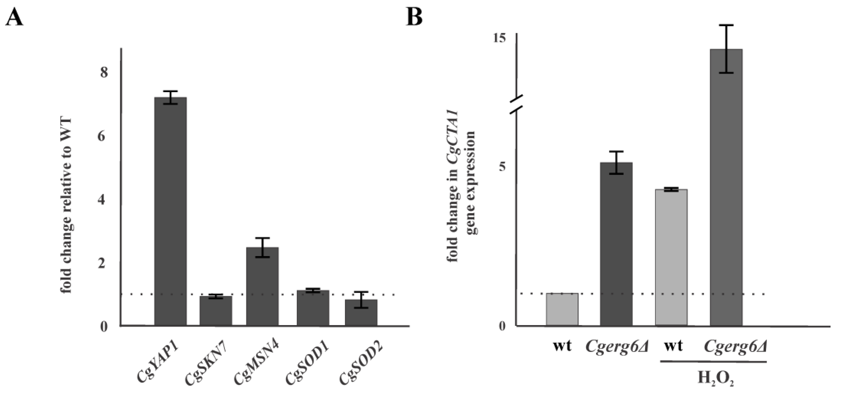 Jof 09 00579 g002 Jof 09 00579 g002