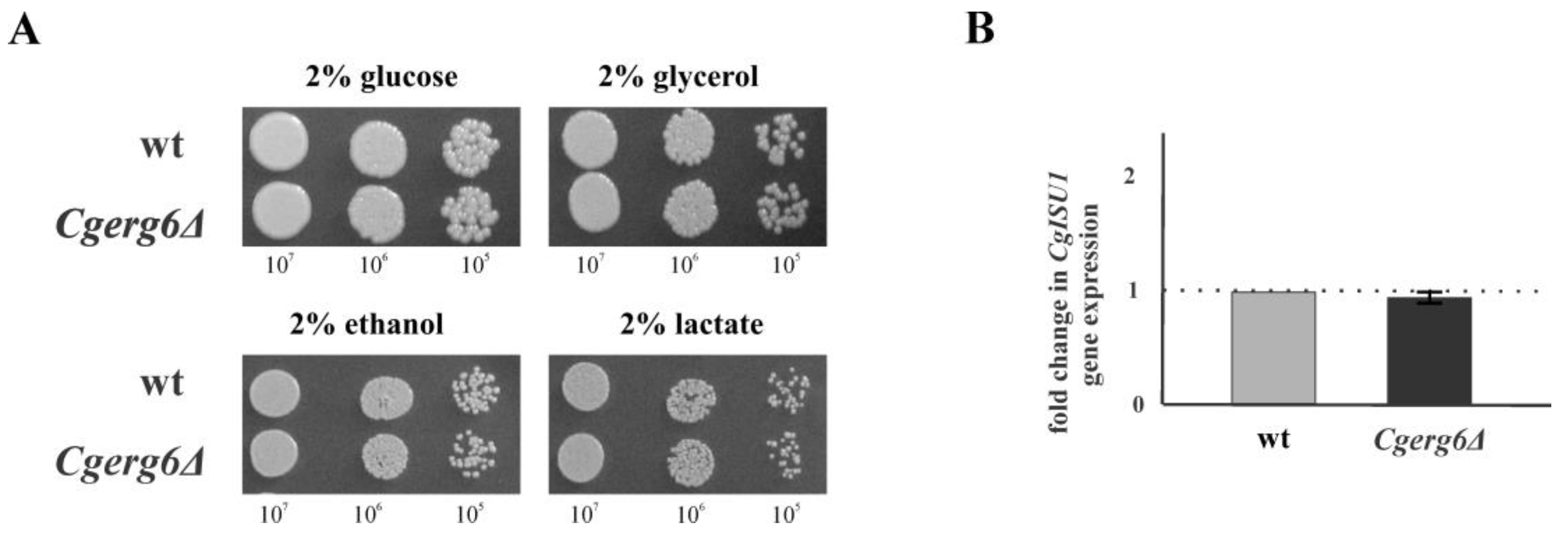Jof 09 00579 g003 Jof 09 00579 g003