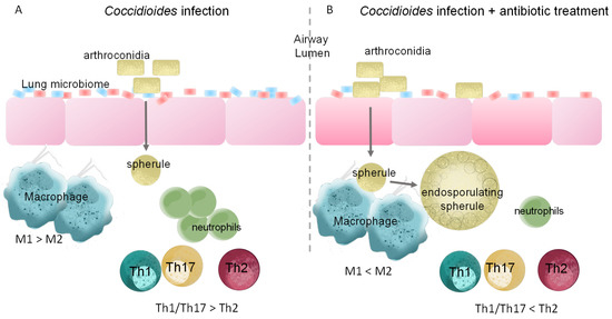 サム M'z SPEED | BodyKit | ジムニー | JIMNY(JB64W)