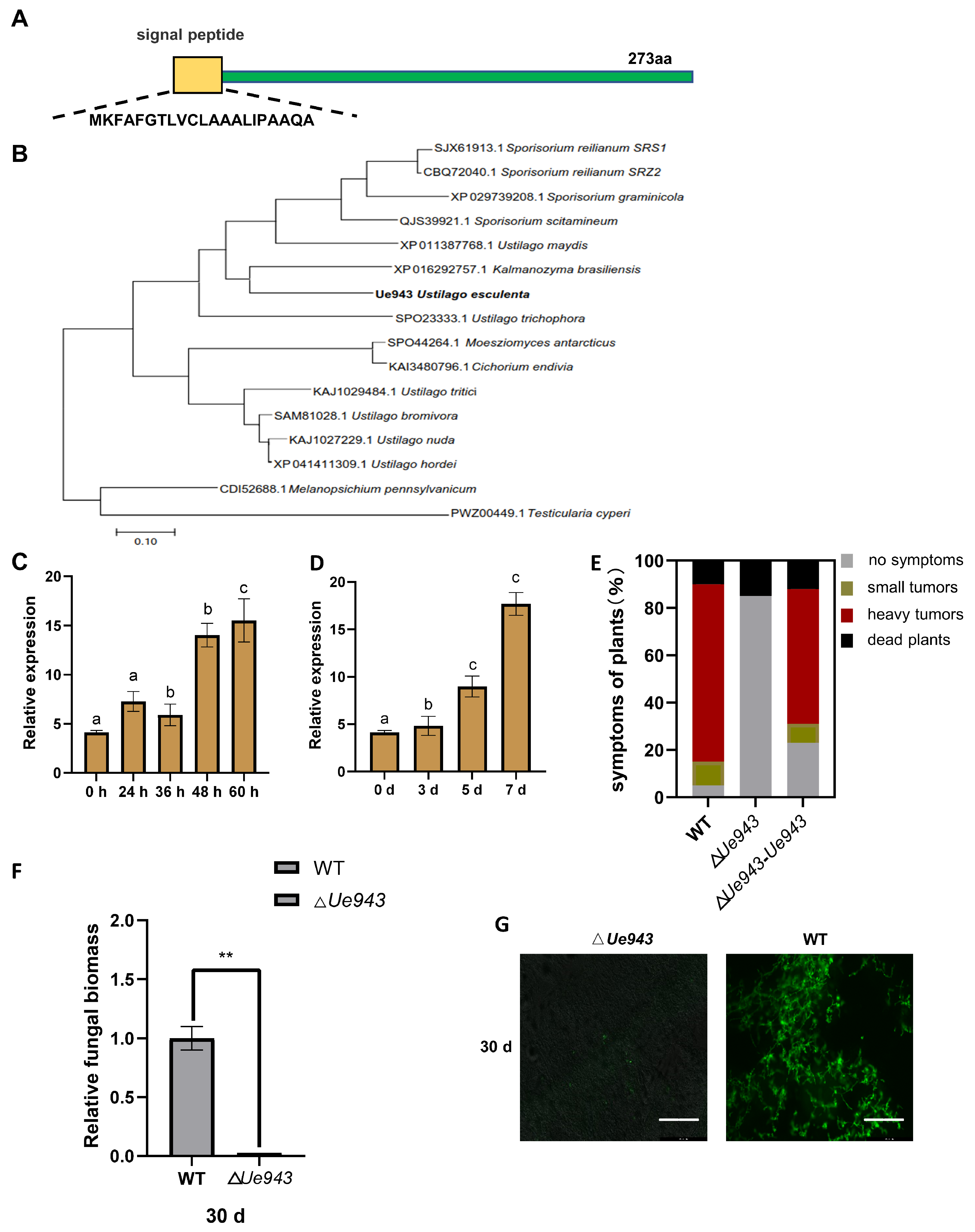 Jof 09 00593 g001 Jof 09 00593 g001