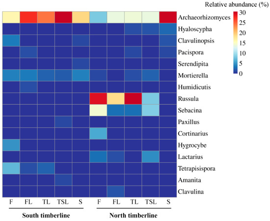 Soil Fungal Community Characteristics at Timberlines of