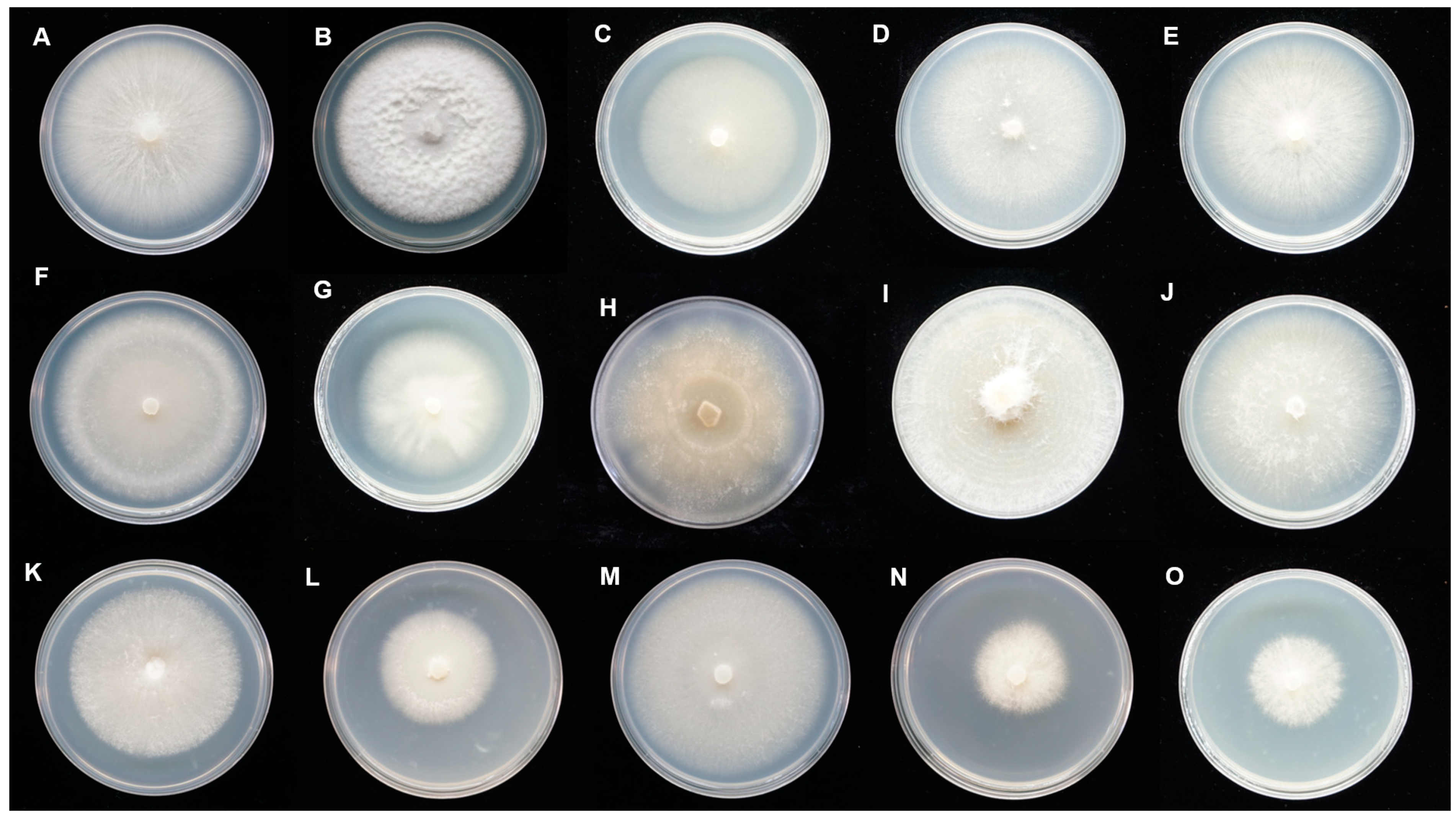 Jof 09 00597 g003a Jof 09 00597 g003a