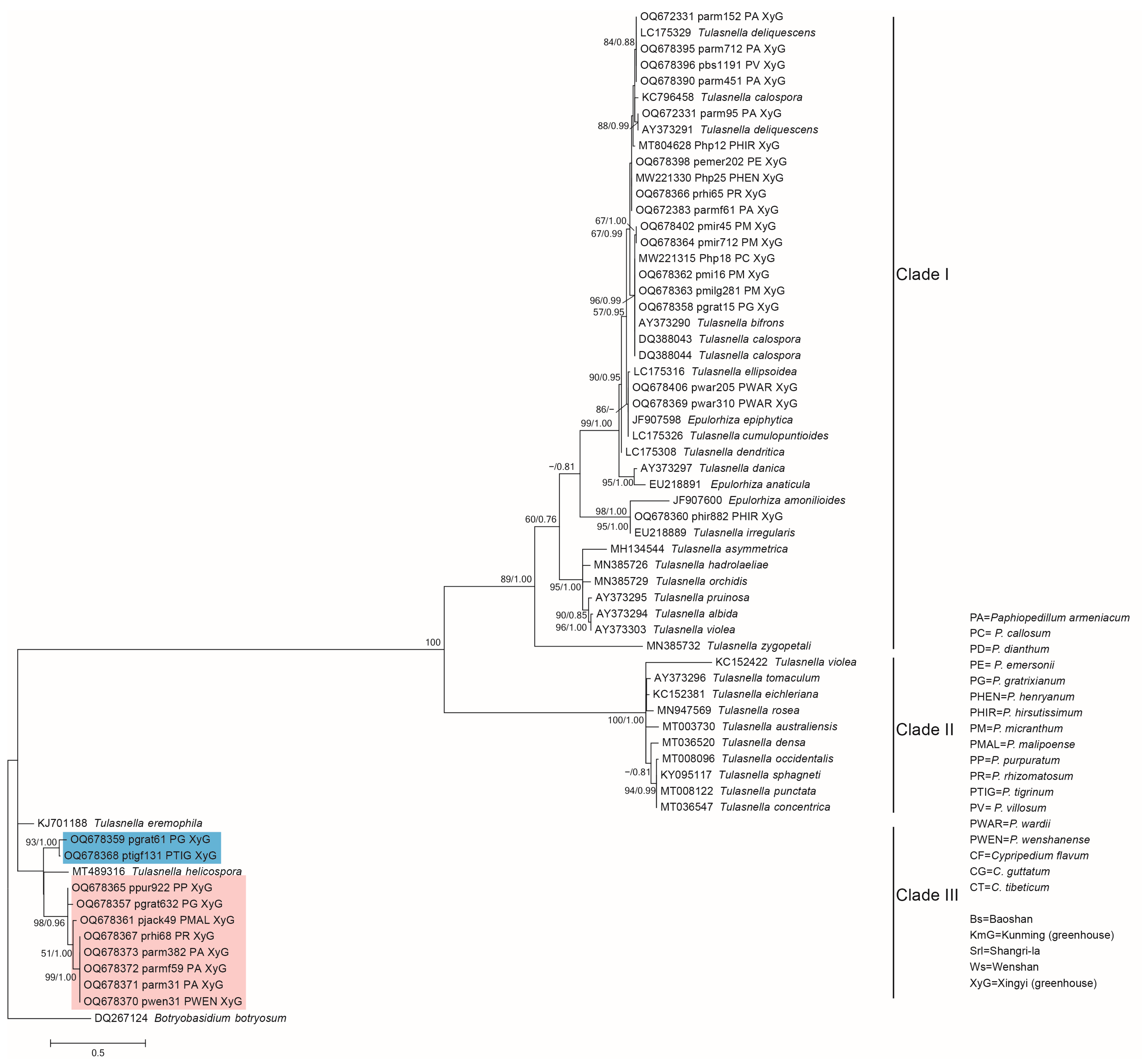 Jof 09 00597 g005 Jof 09 00597 g005