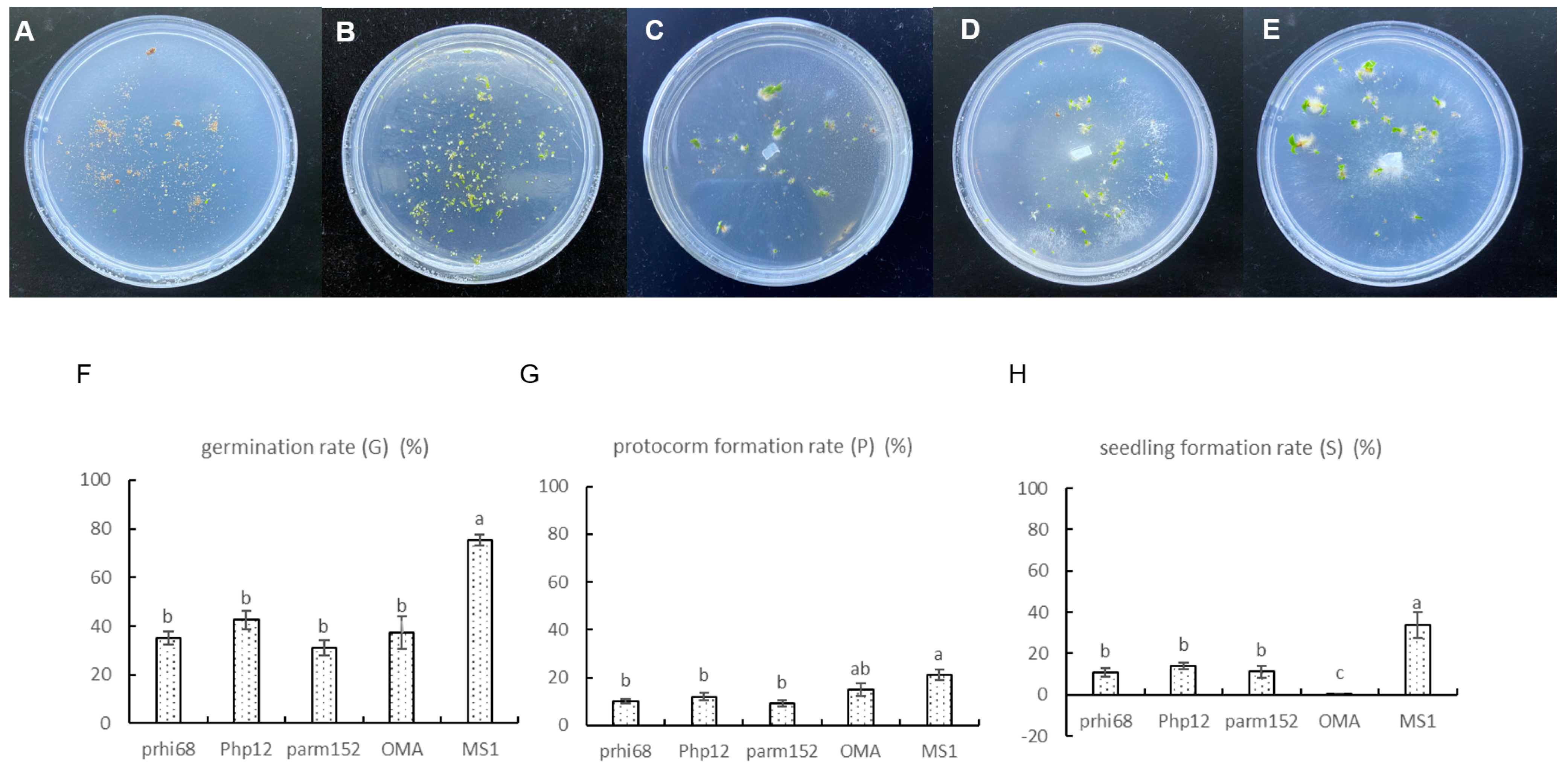 Jof 09 00597 g007 Jof 09 00597 g007
