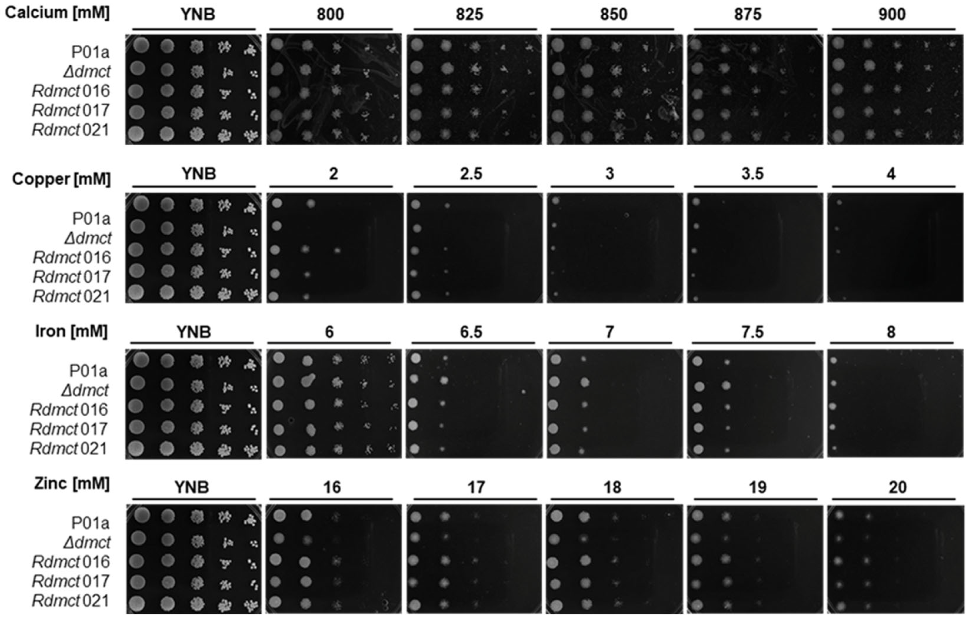 Jof 09 00600 g004 Jof 09 00600 g004