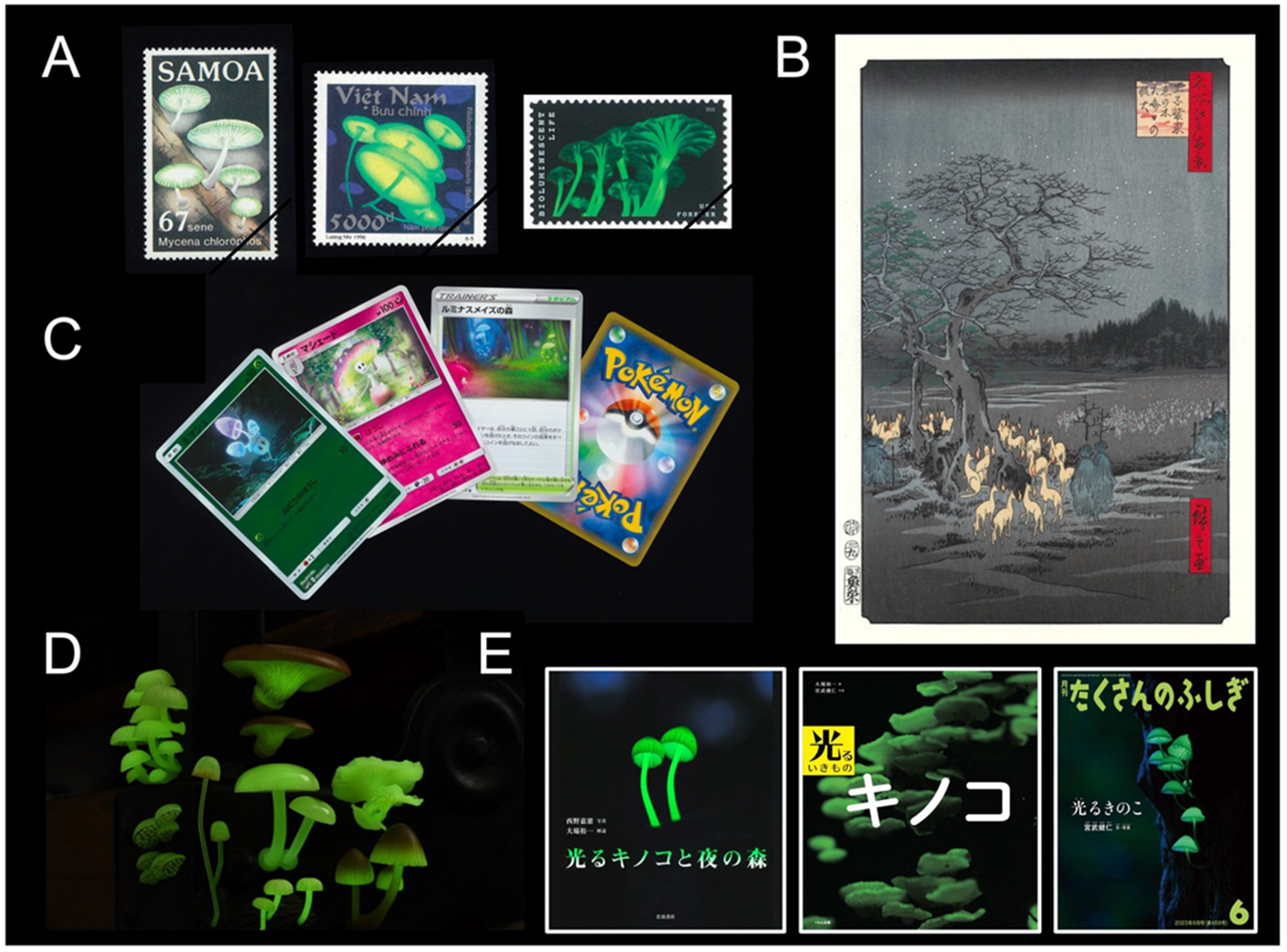 Jof 09 00615 g001 Jof 09 00615 g001