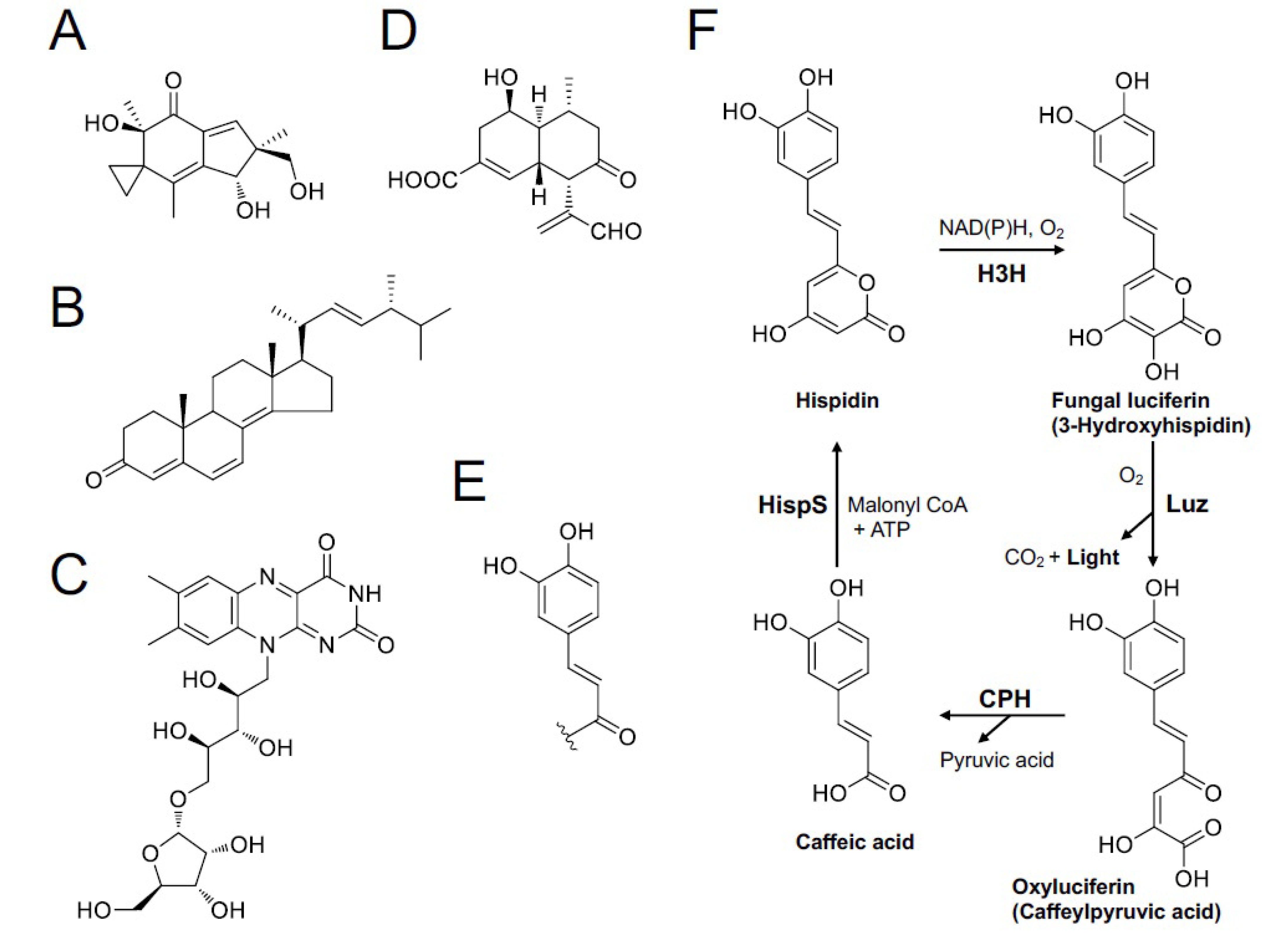 Jof 09 00615 g014 Jof 09 00615 g014