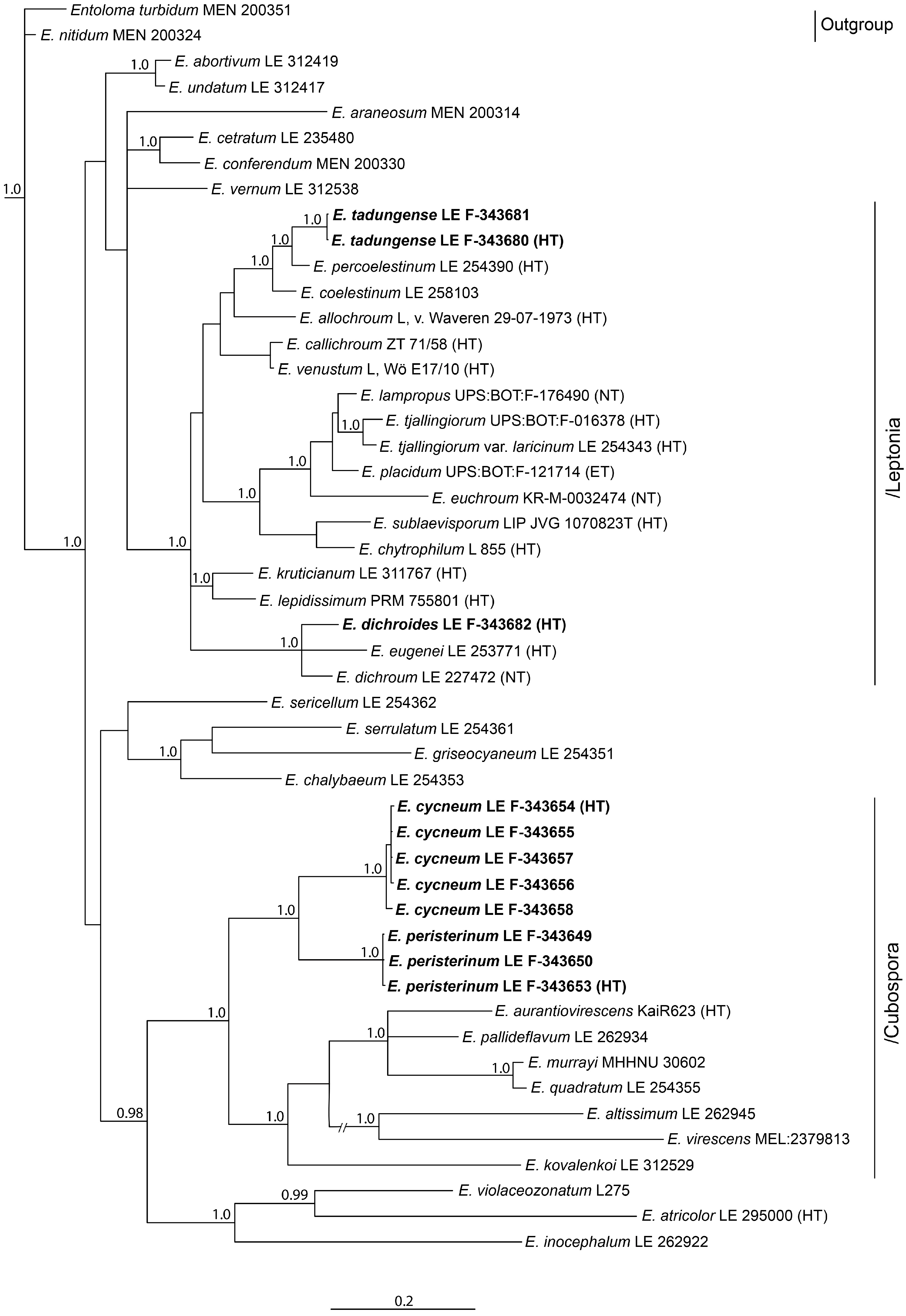Jof 09 00621 g001 Jof 09 00621 g001