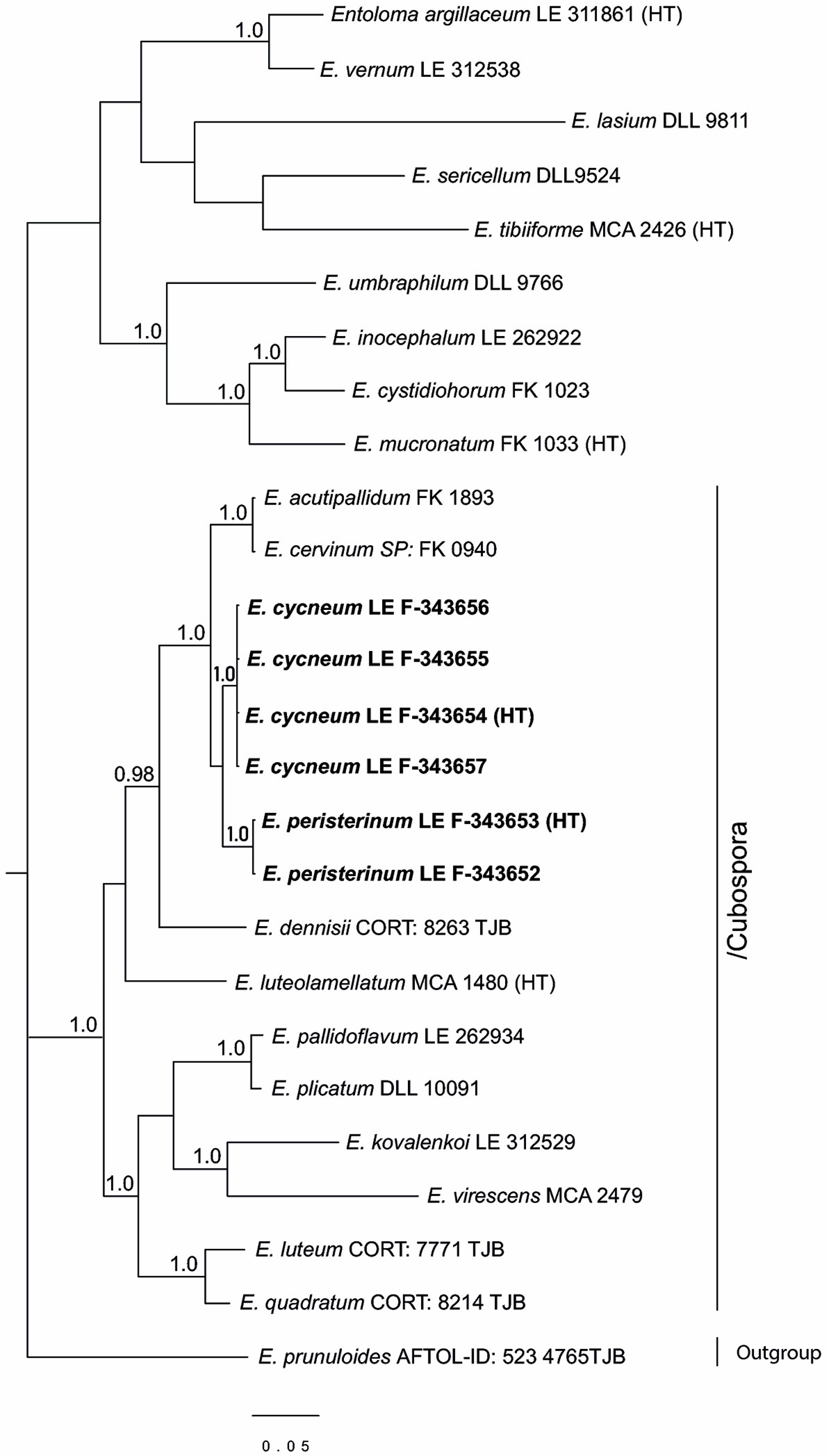 Jof 09 00621 g002 Jof 09 00621 g002