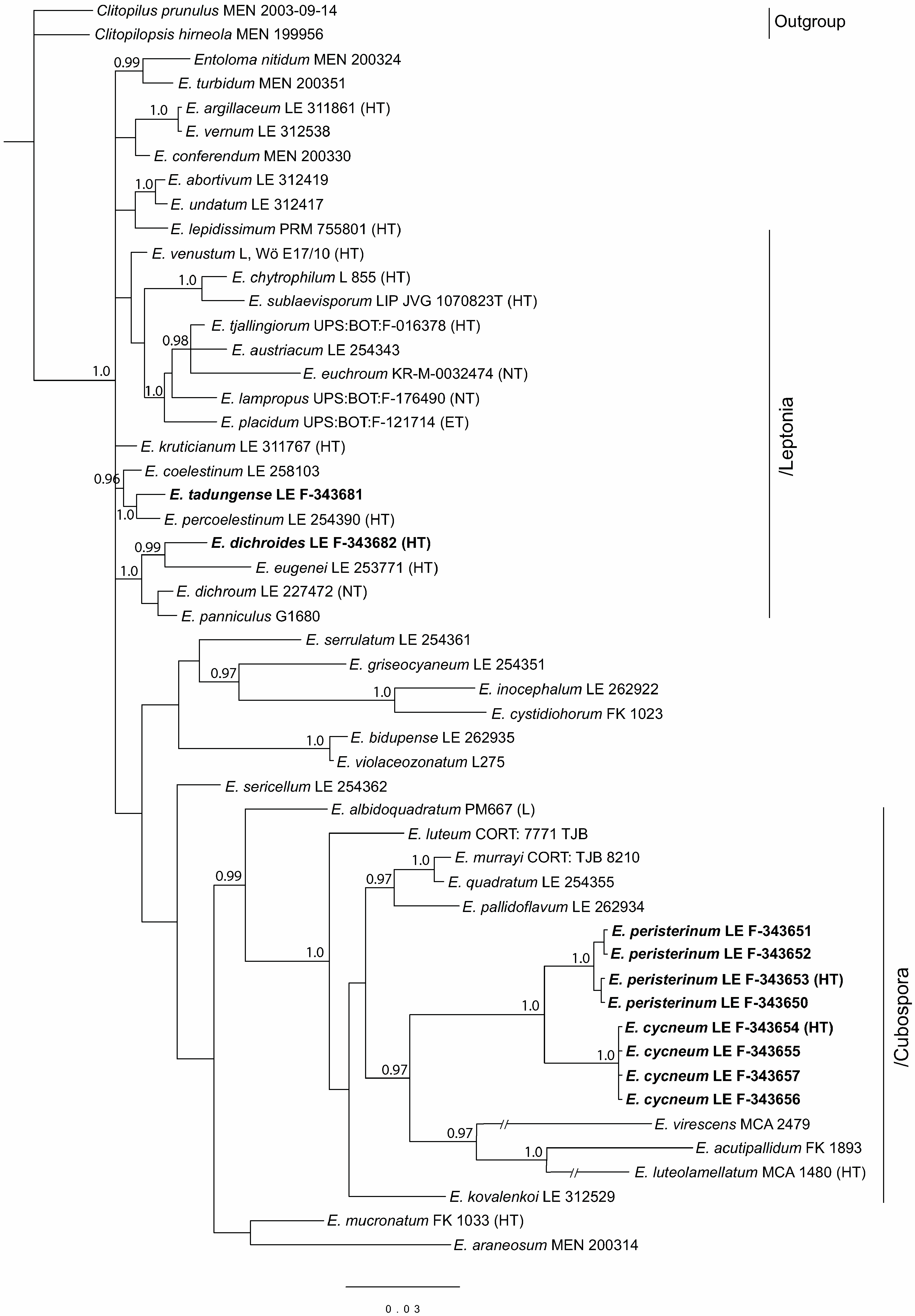 Jof 09 00621 g003 Jof 09 00621 g003