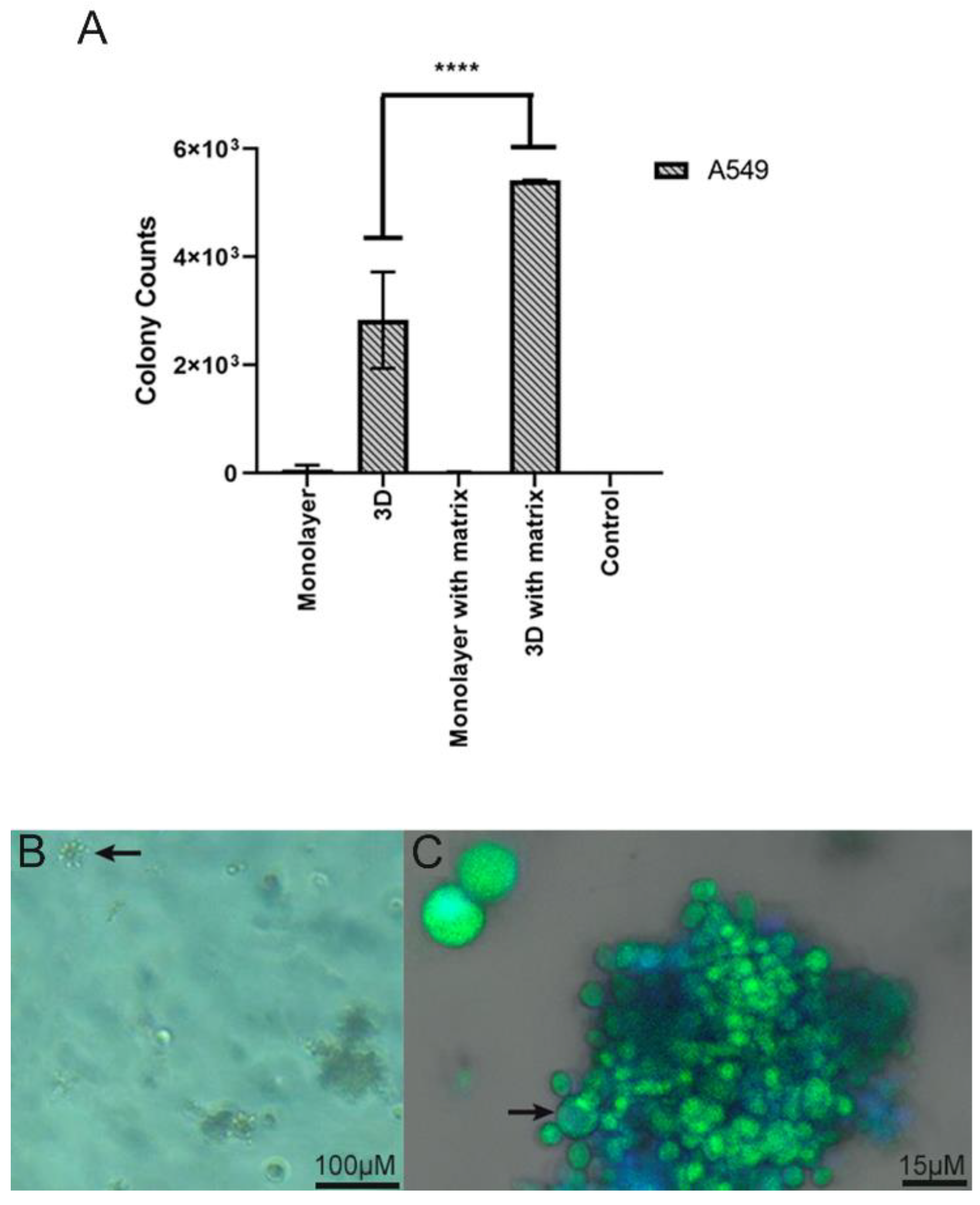 Jof 09 00634 g006 Jof 09 00634 g006
