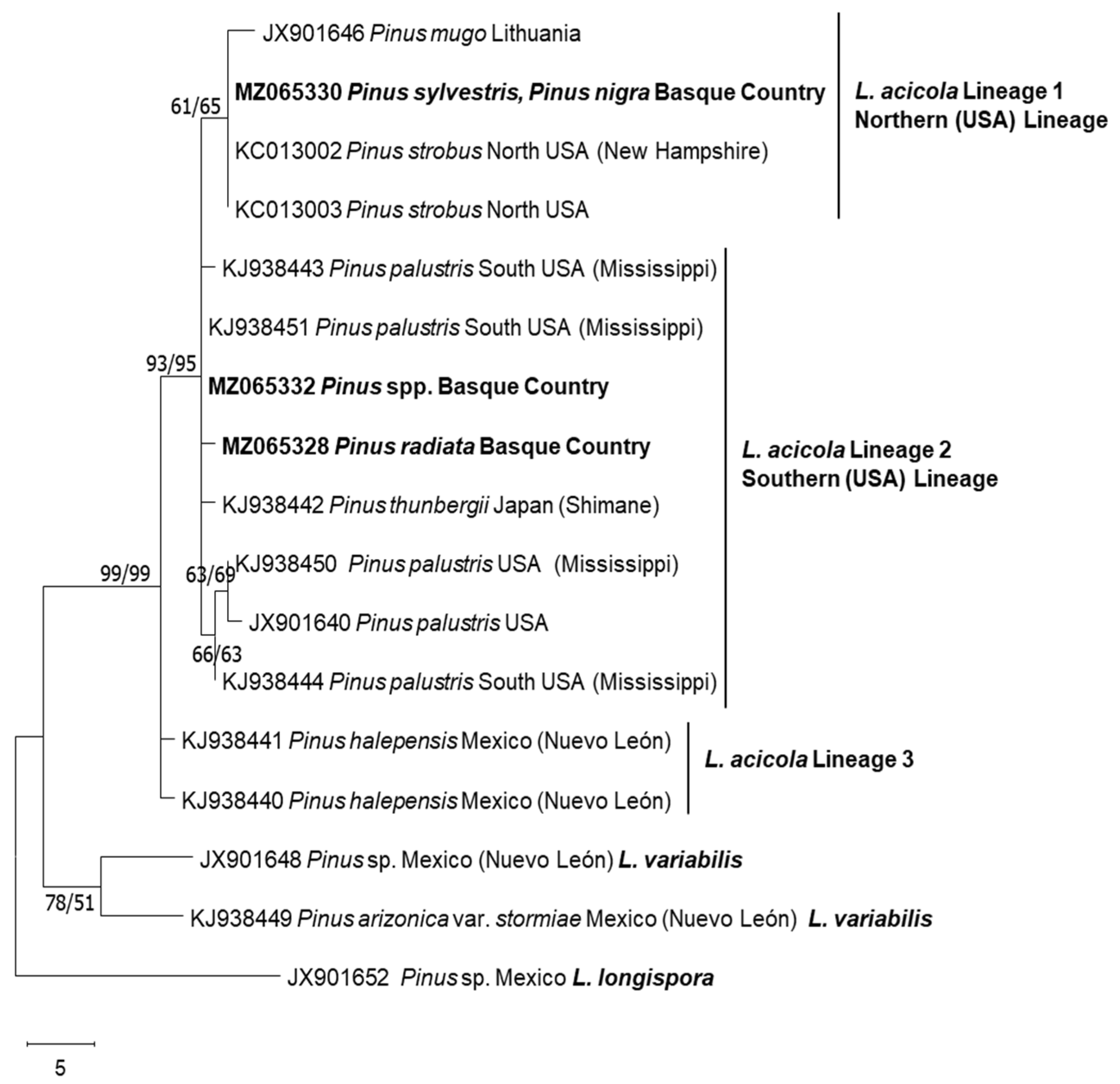 Jof 09 00651 g002 Jof 09 00651 g002