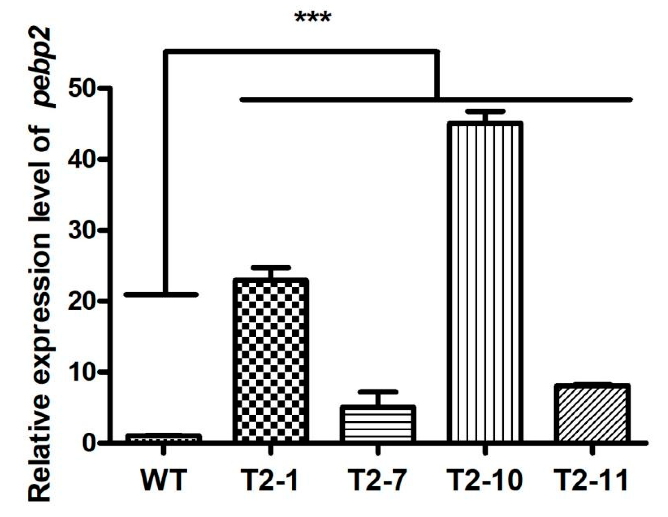 Jof 09 00657 g005 Jof 09 00657 g005