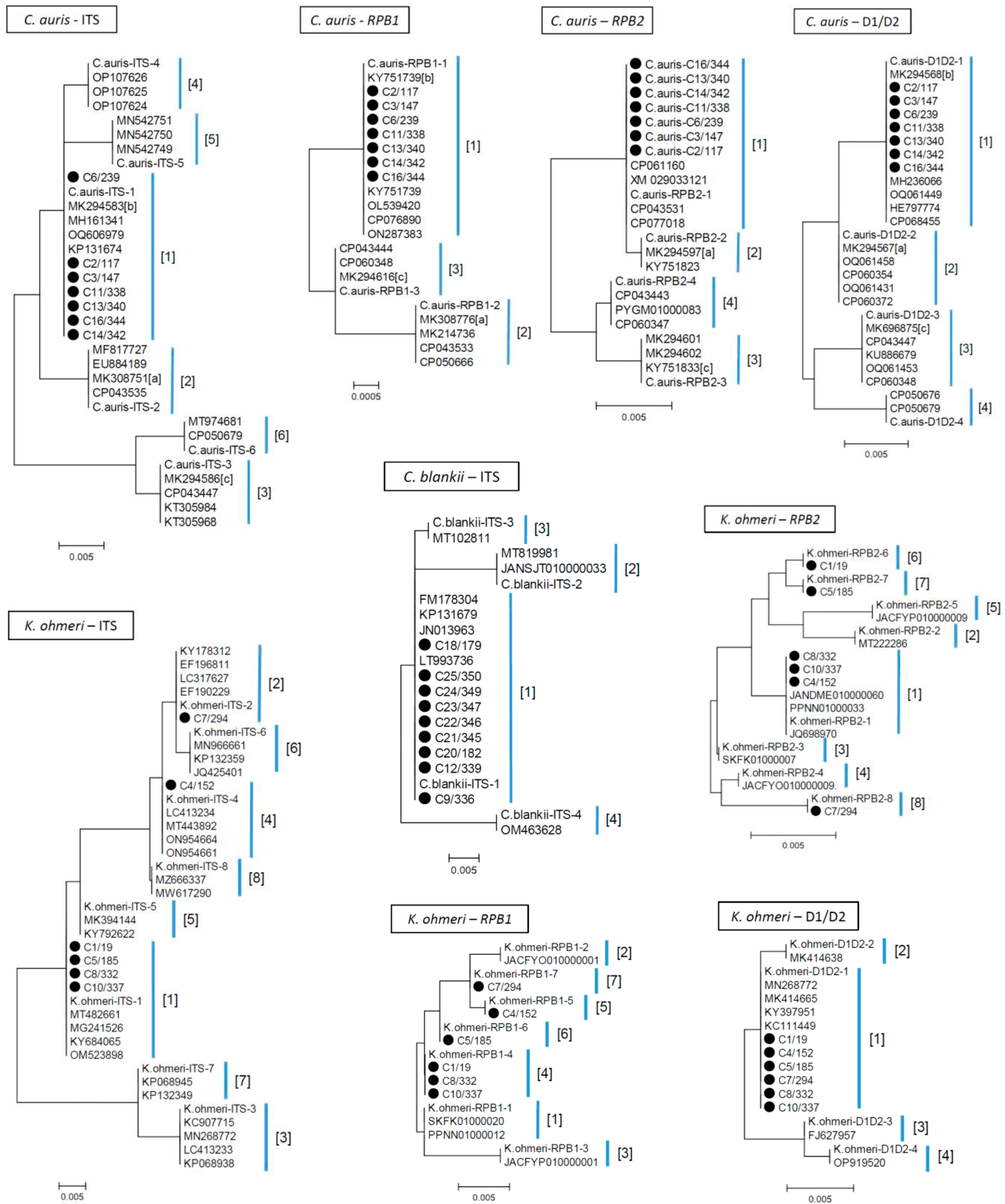 Jof 09 00658 g001 Jof 09 00658 g001