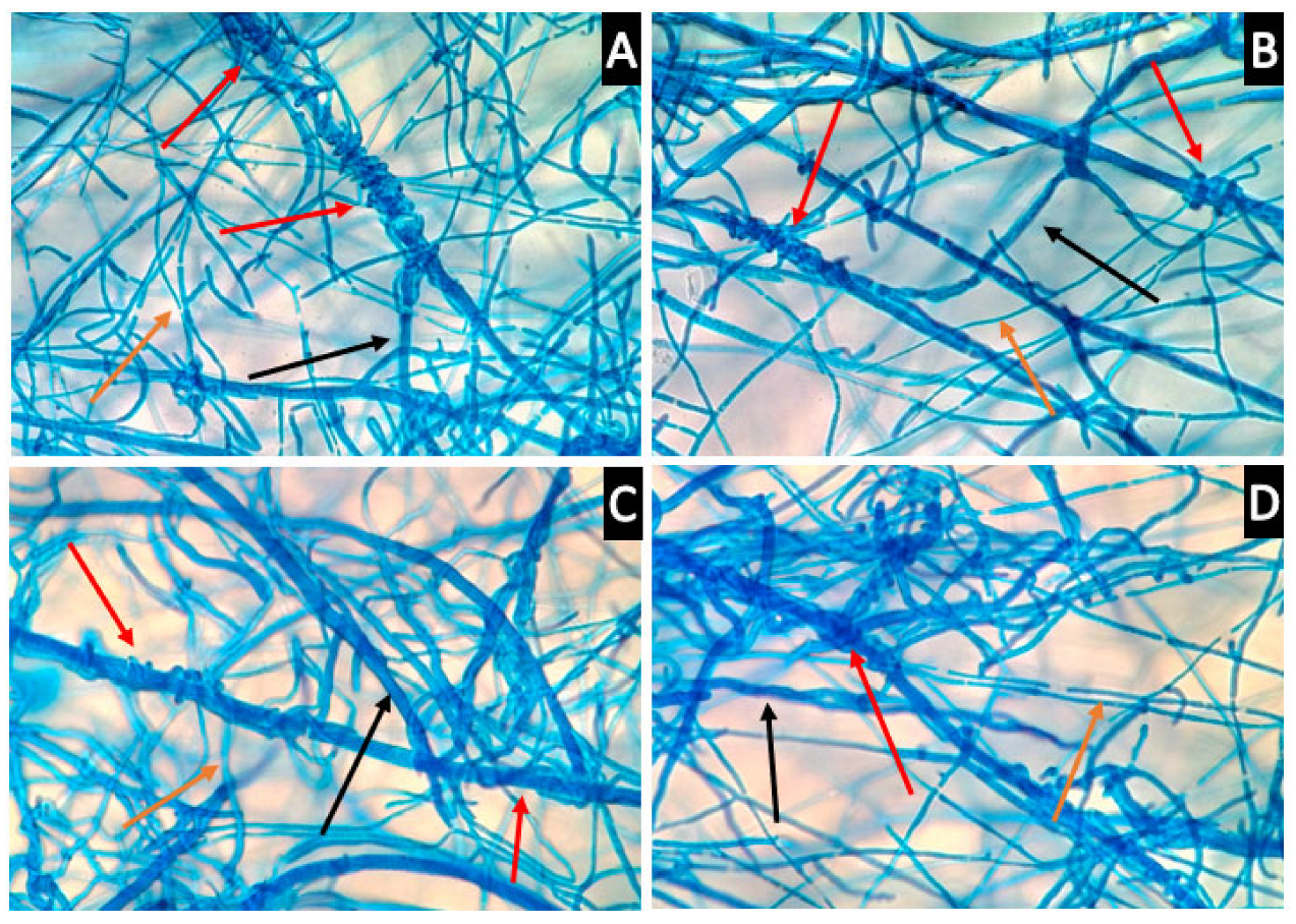 Jof 09 00675 g008 Jof 09 00675 g008