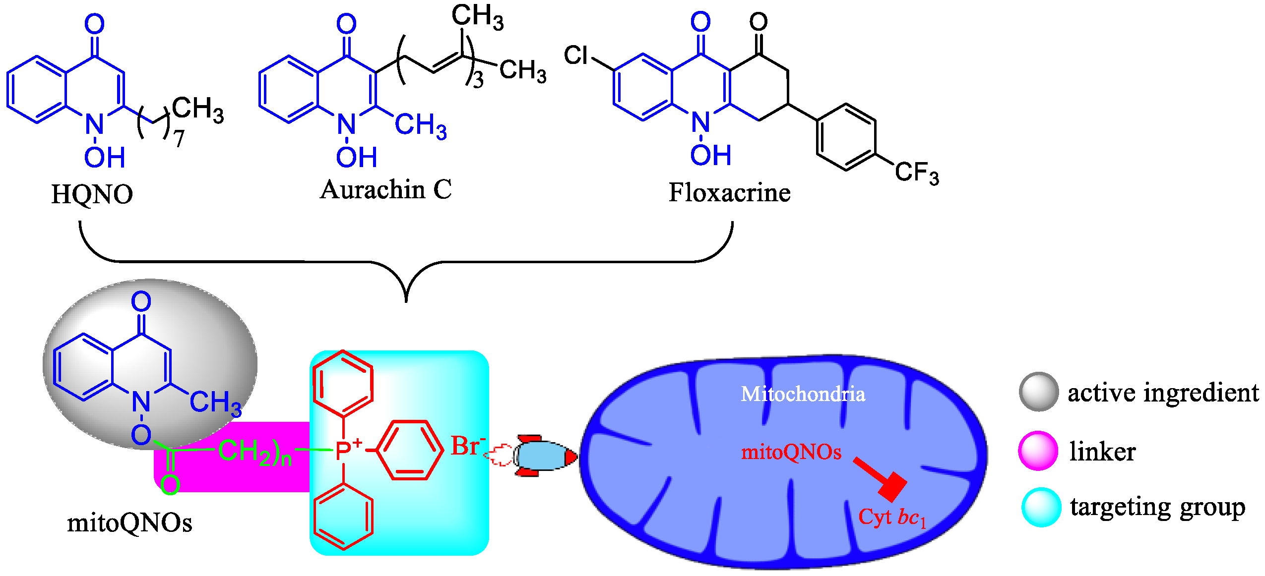 Jof 09 00685 g001 Jof 09 00685 g001