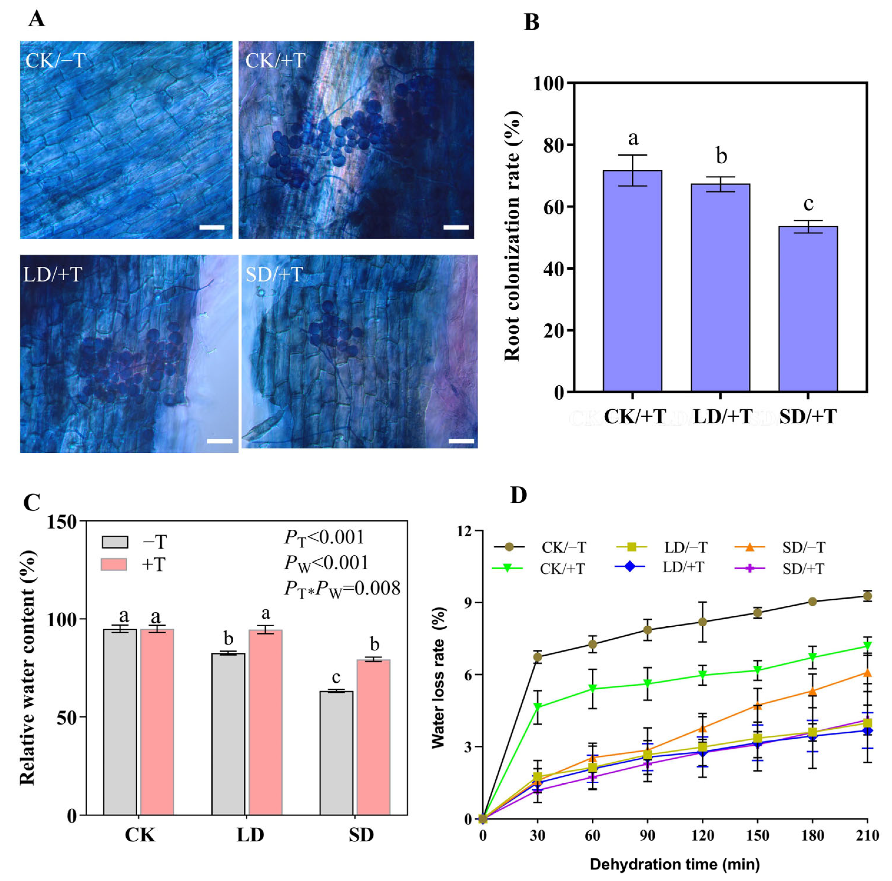 Jof 09 00694 g001 Jof 09 00694 g001