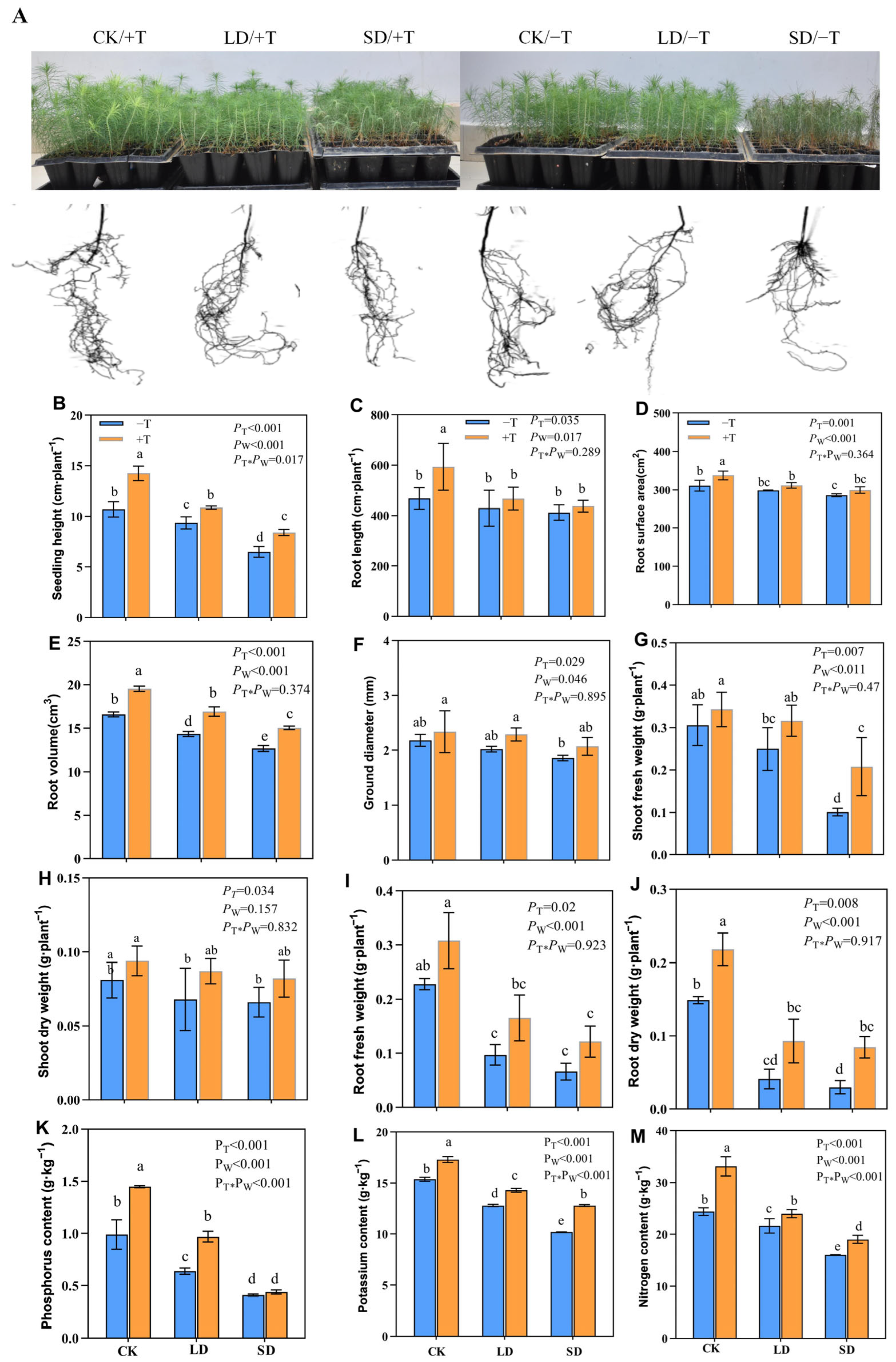 Jof 09 00694 g002 Jof 09 00694 g002