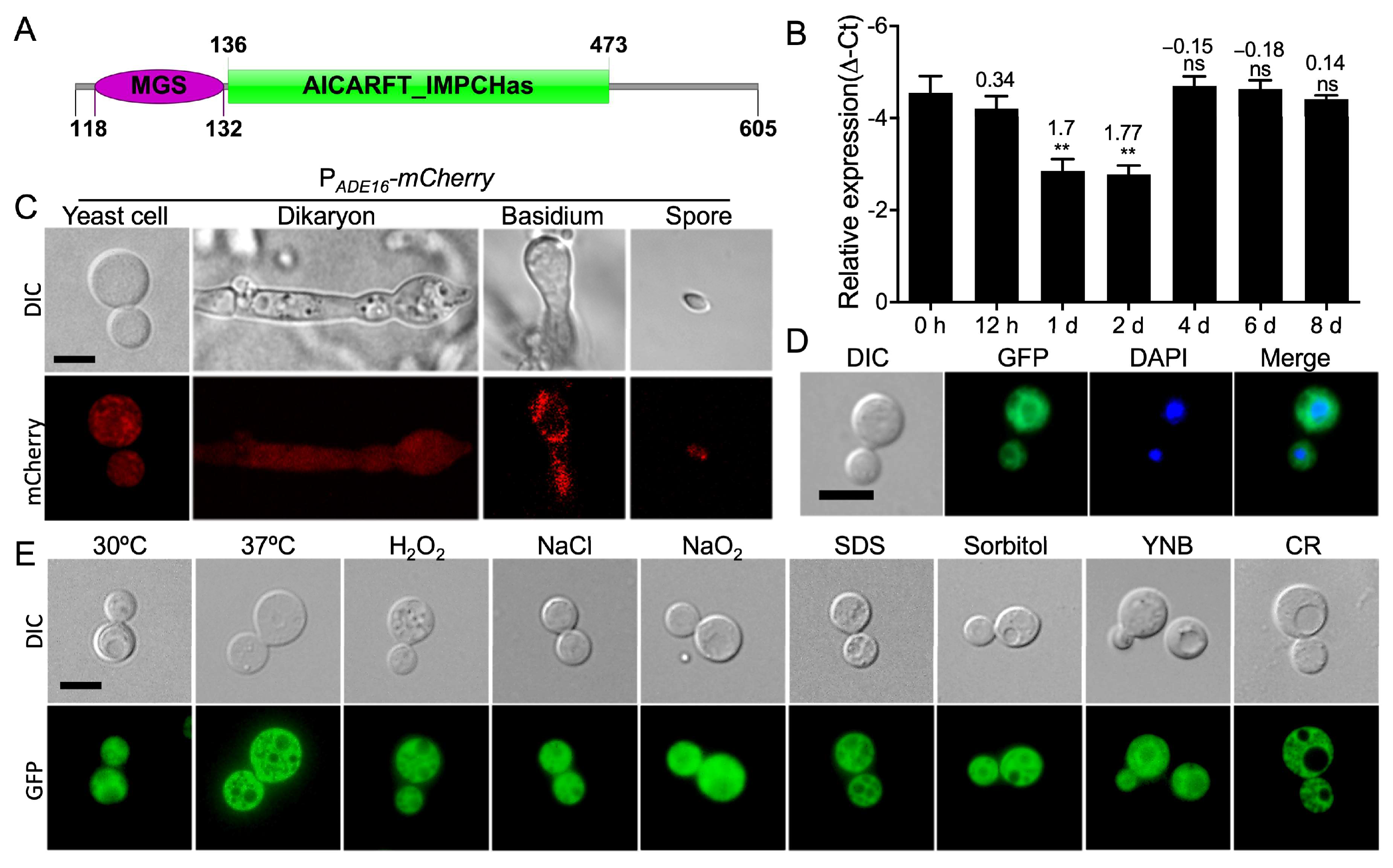 Jof 09 00699 g001 Jof 09 00699 g001