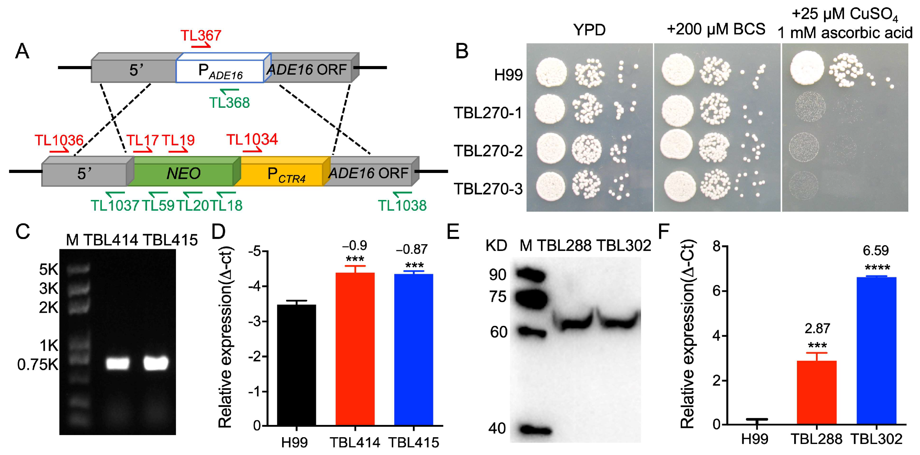 Jof 09 00699 g003 Jof 09 00699 g003