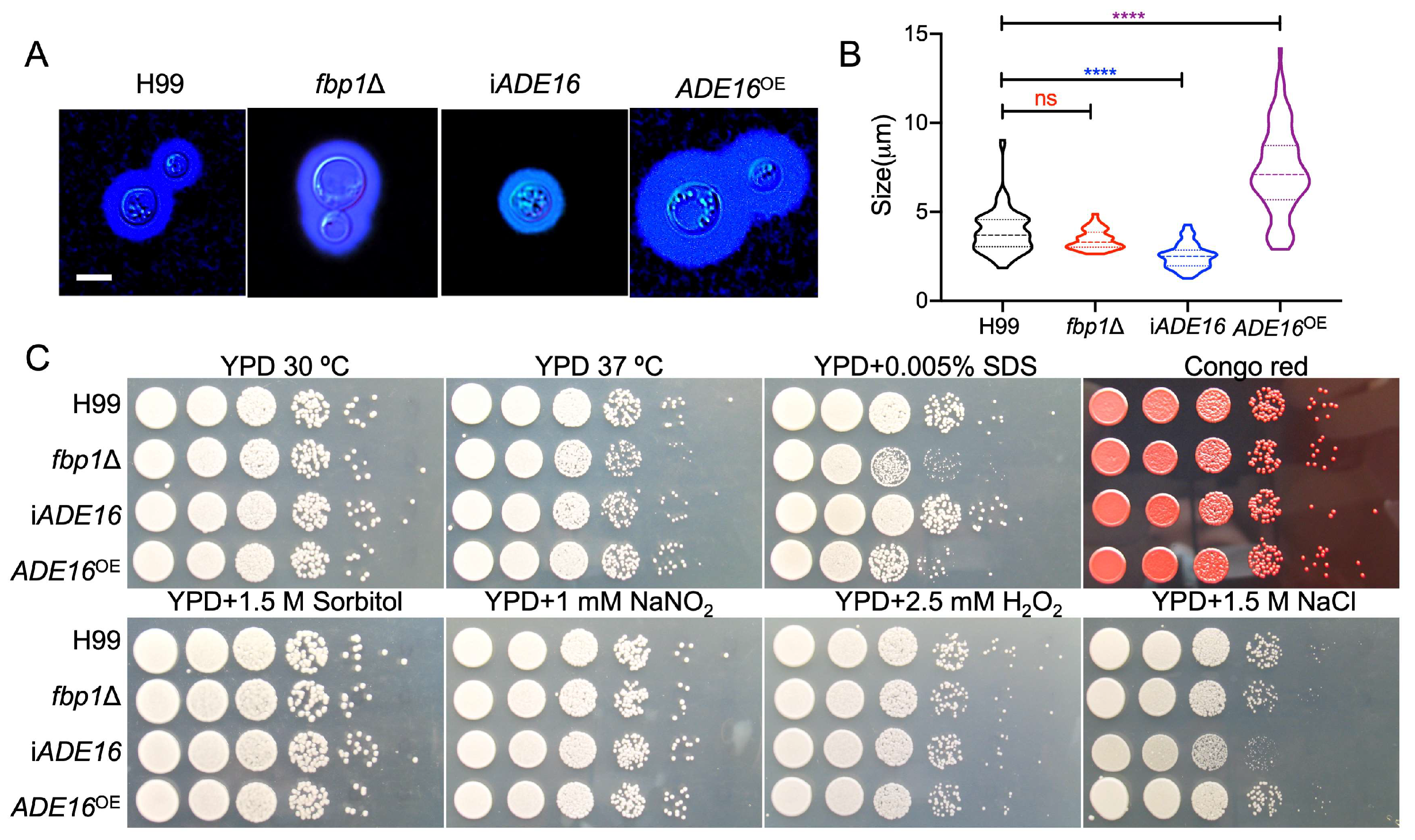 Jof 09 00699 g004 Jof 09 00699 g004