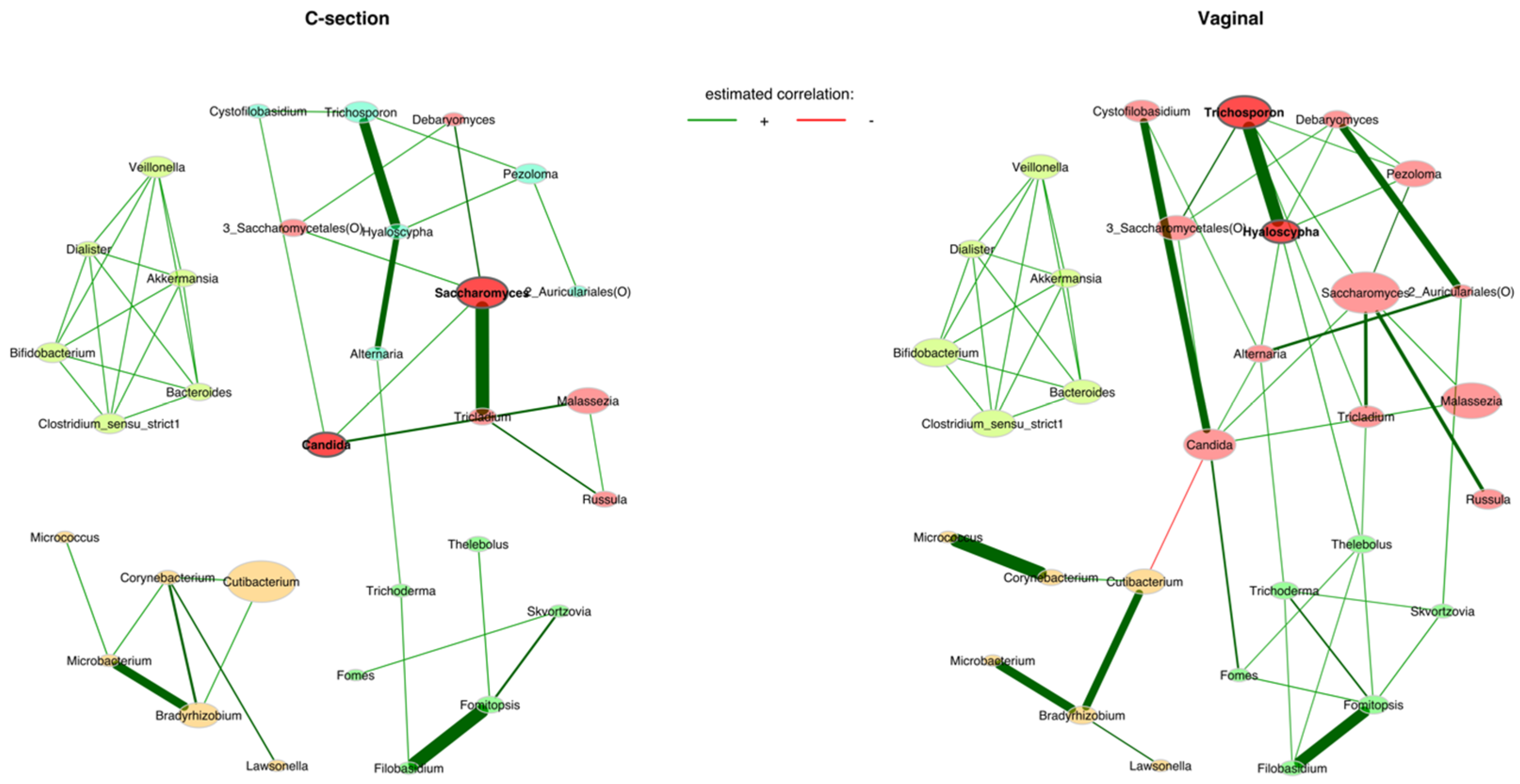 Jof 09 00718 g006 Jof 09 00718 g006