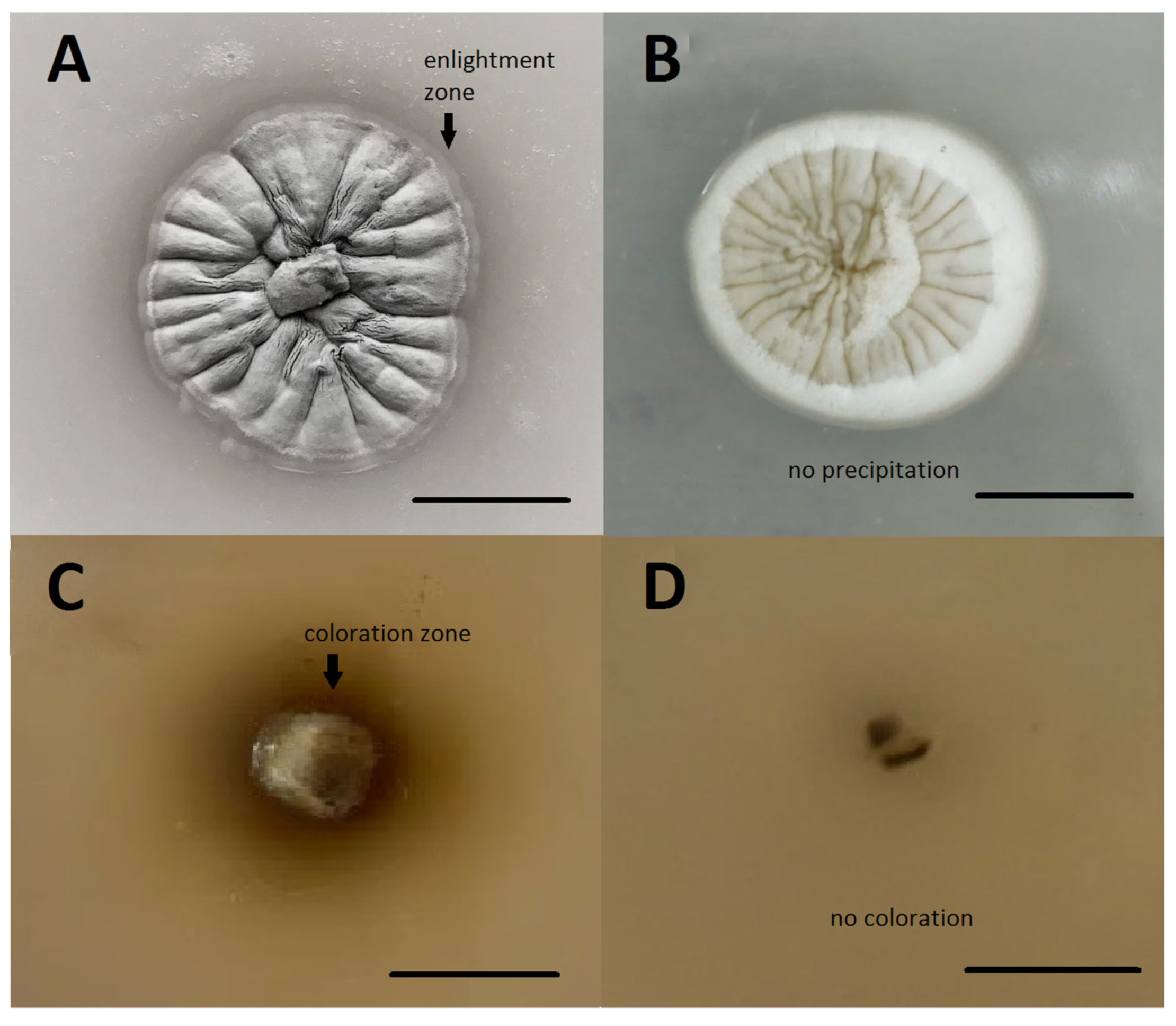 Jof 09 00728 g003 Jof 09 00728 g003