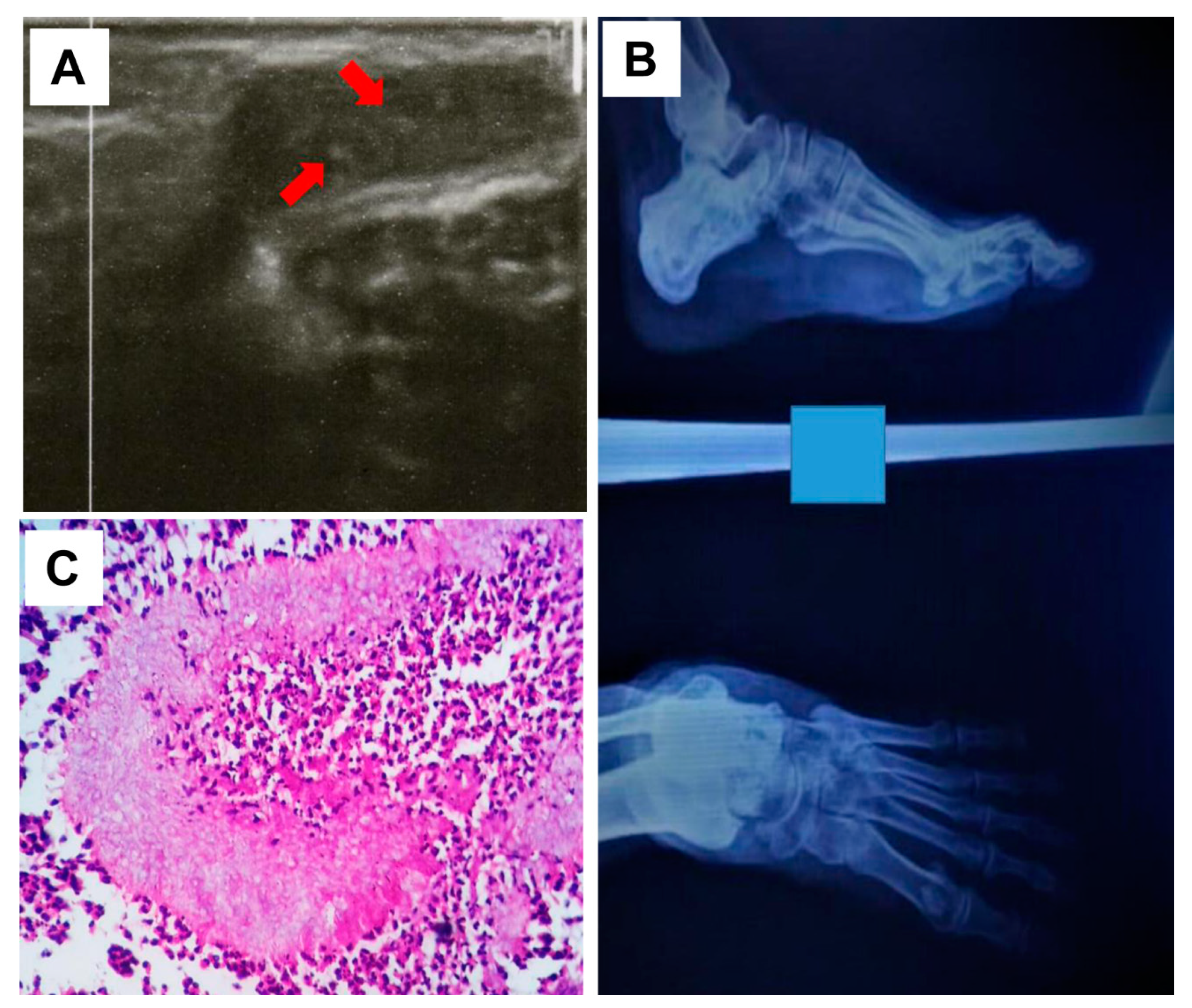 Jof 09 00730 g002 Jof 09 00730 g002