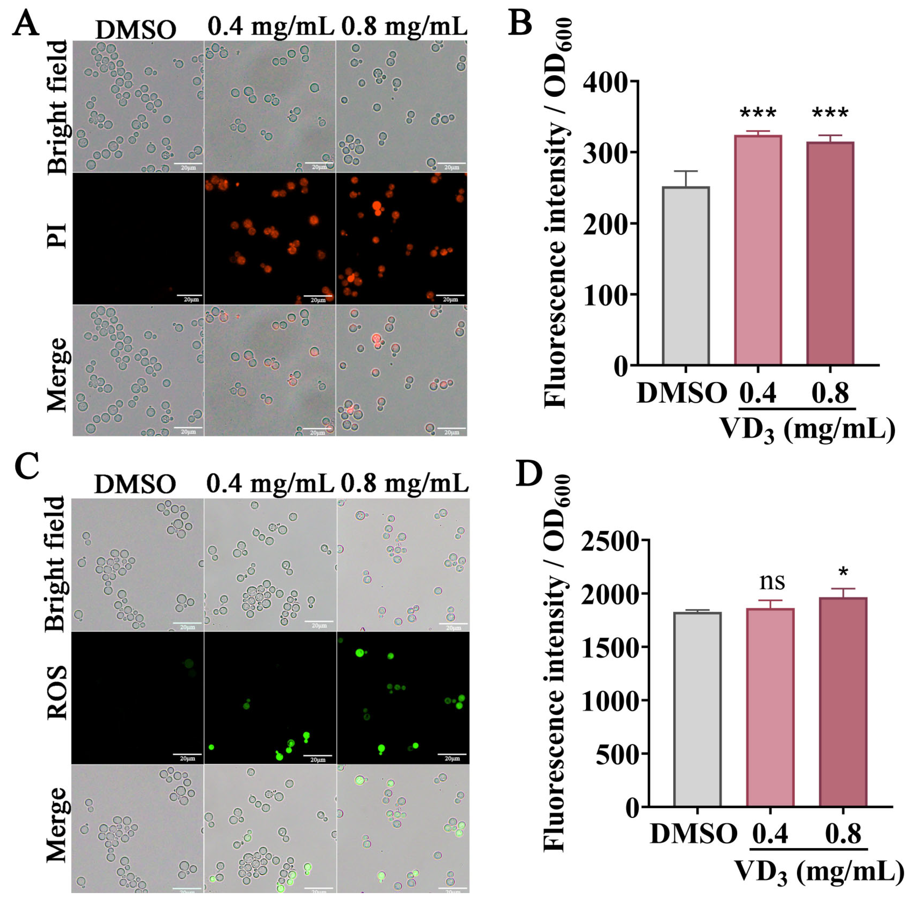 Jof 09 00772 g004 Jof 09 00772 g004