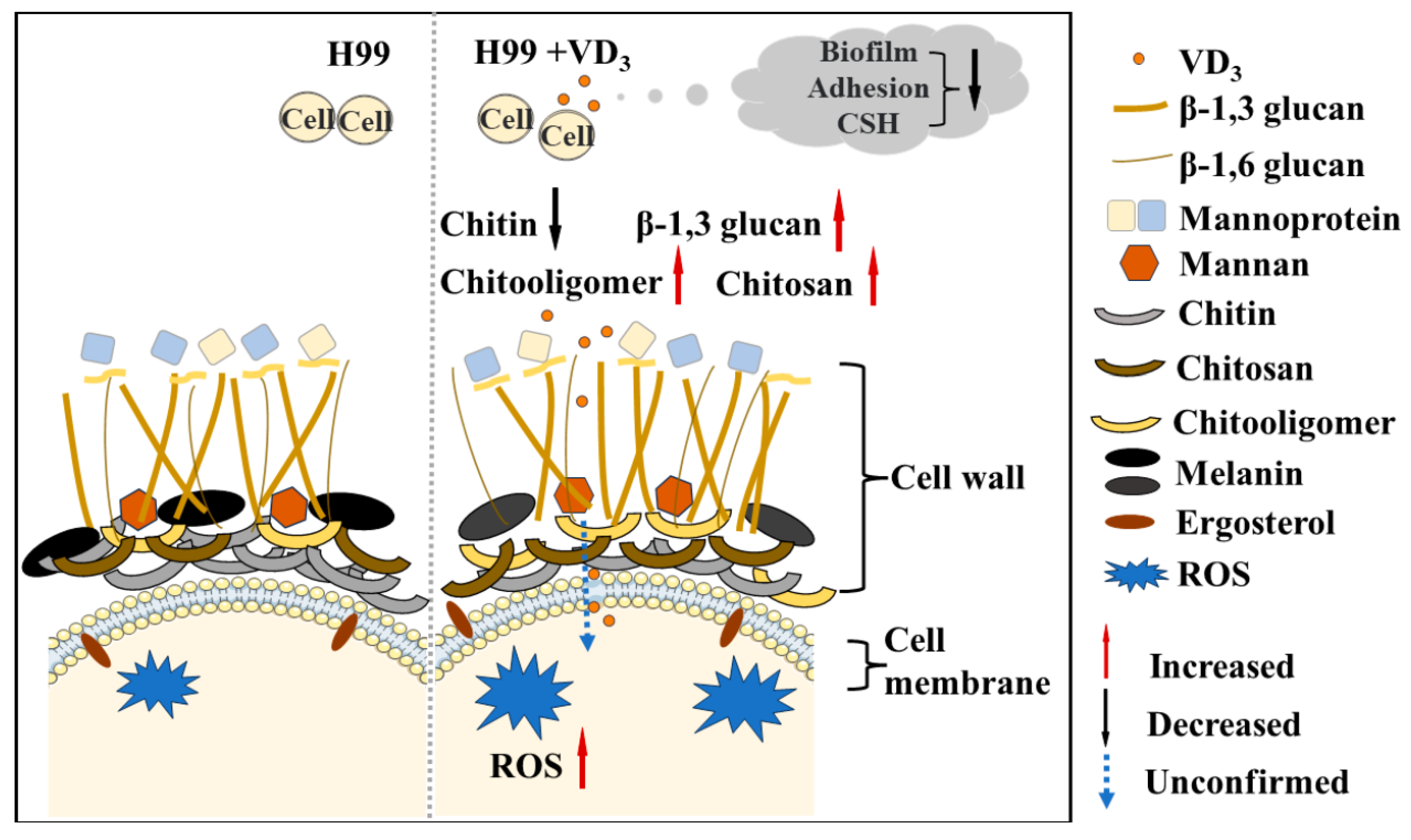 Jof 09 00772 g006 Jof 09 00772 g006