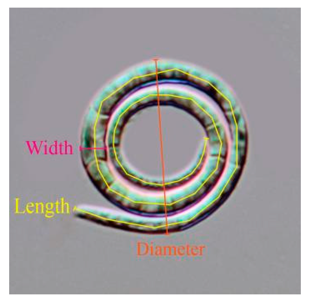 Jof 09 00775 g001 Jof 09 00775 g001