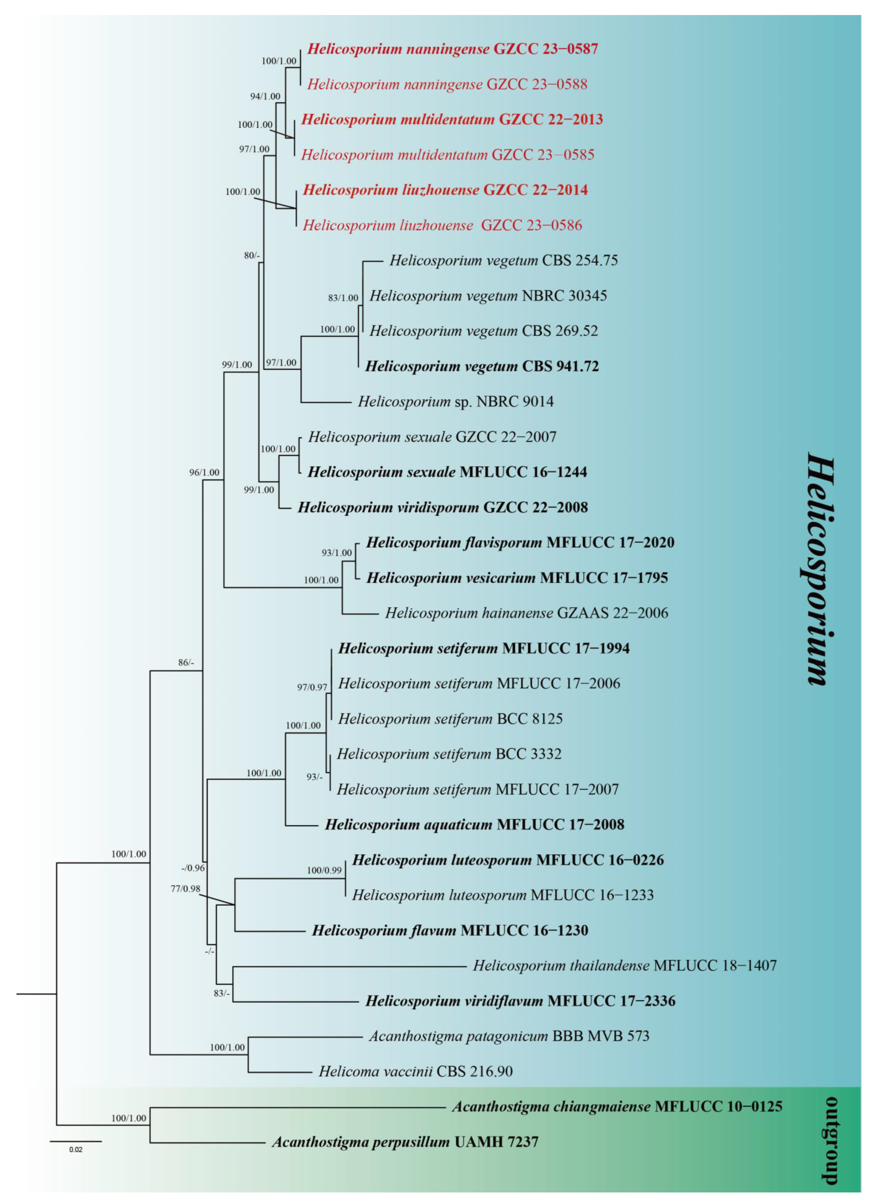 Jof 09 00775 g002 Jof 09 00775 g002