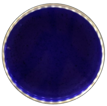 Jof 09 00780 i009 Jof 09 00780 i009